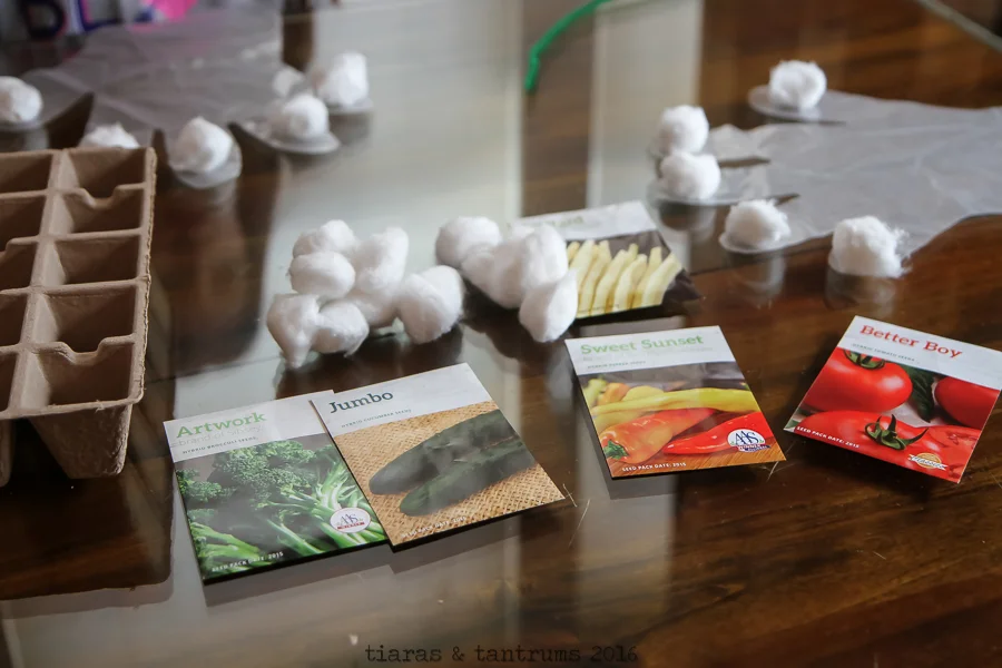 Garden in a Glove A Science Project — Tiaras & Tantrums