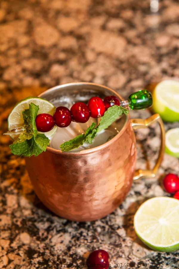 Cranberry MOscow Mule
