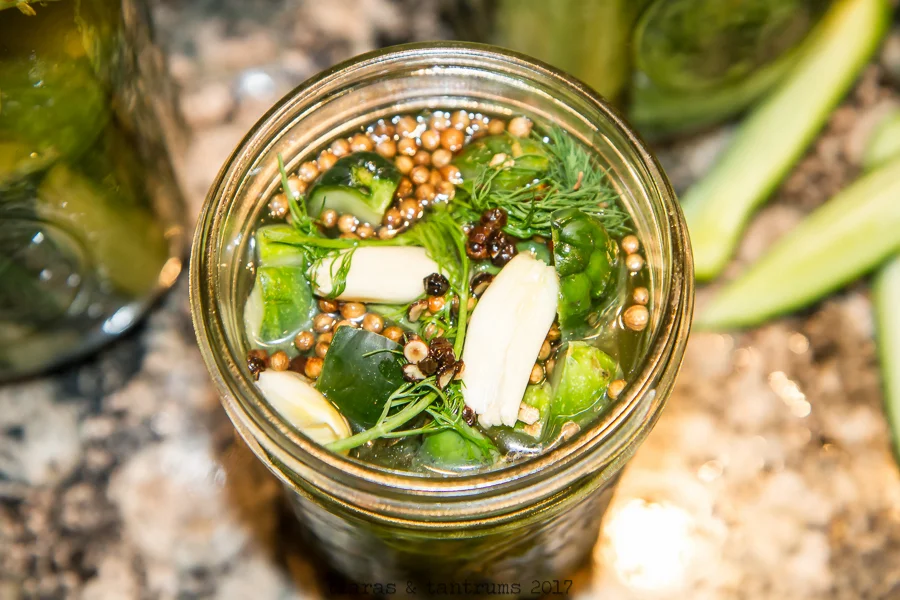 The Ultimate Classic Kosher Dill Pickle Recipe — Tiaras & Tantrums