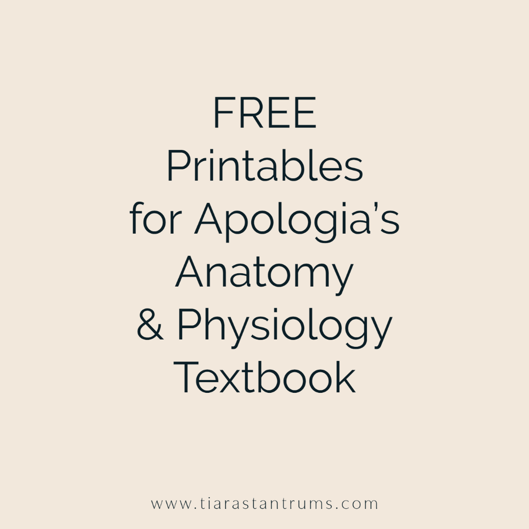 FREE Printables for Apologia’s Anatomy &amp; Physiology&nbsp;Textbook