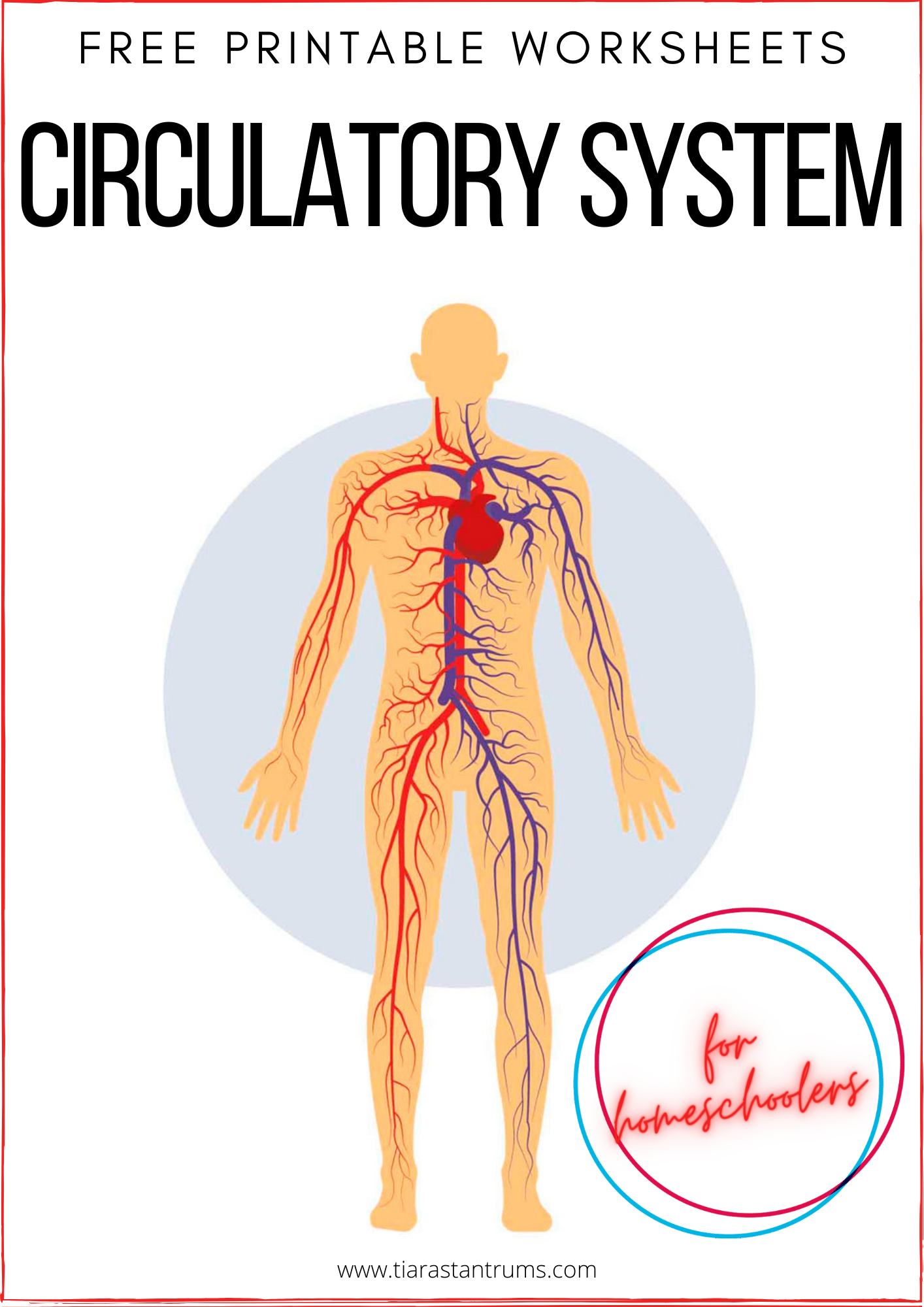 free-circulatory-system-worksheets-printable-tiaras-tantrums