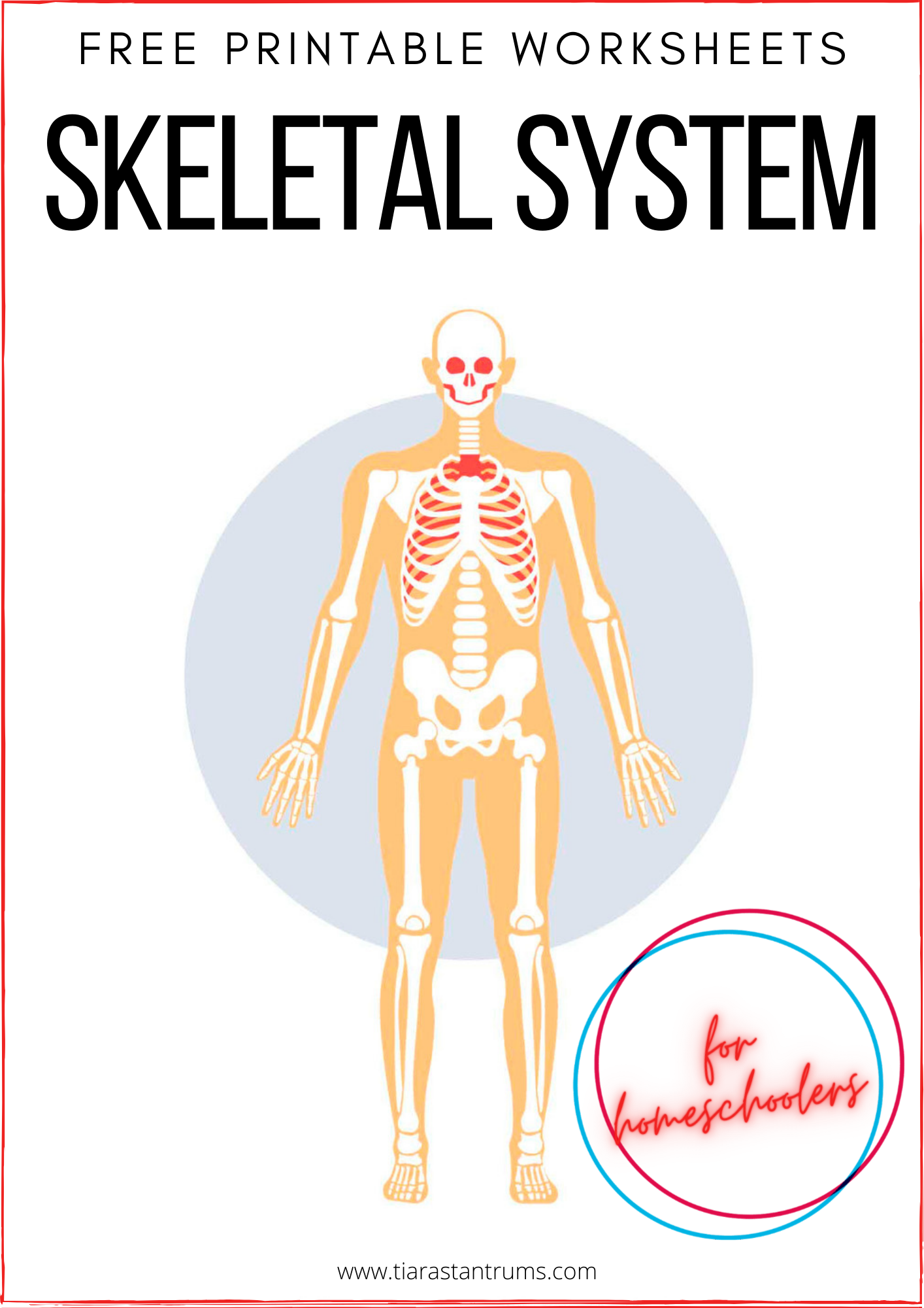 free human body systems labeling worksheets tiaras tantrums