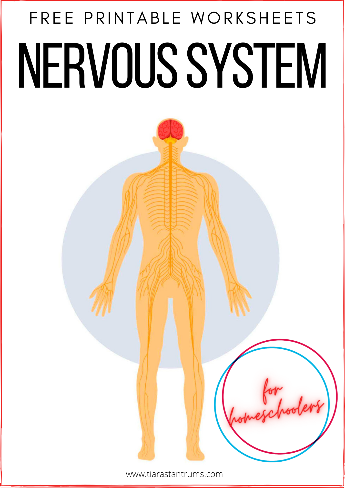 FREE Human Body Systems Labeling Worksheets — Tiaras & Tantrums