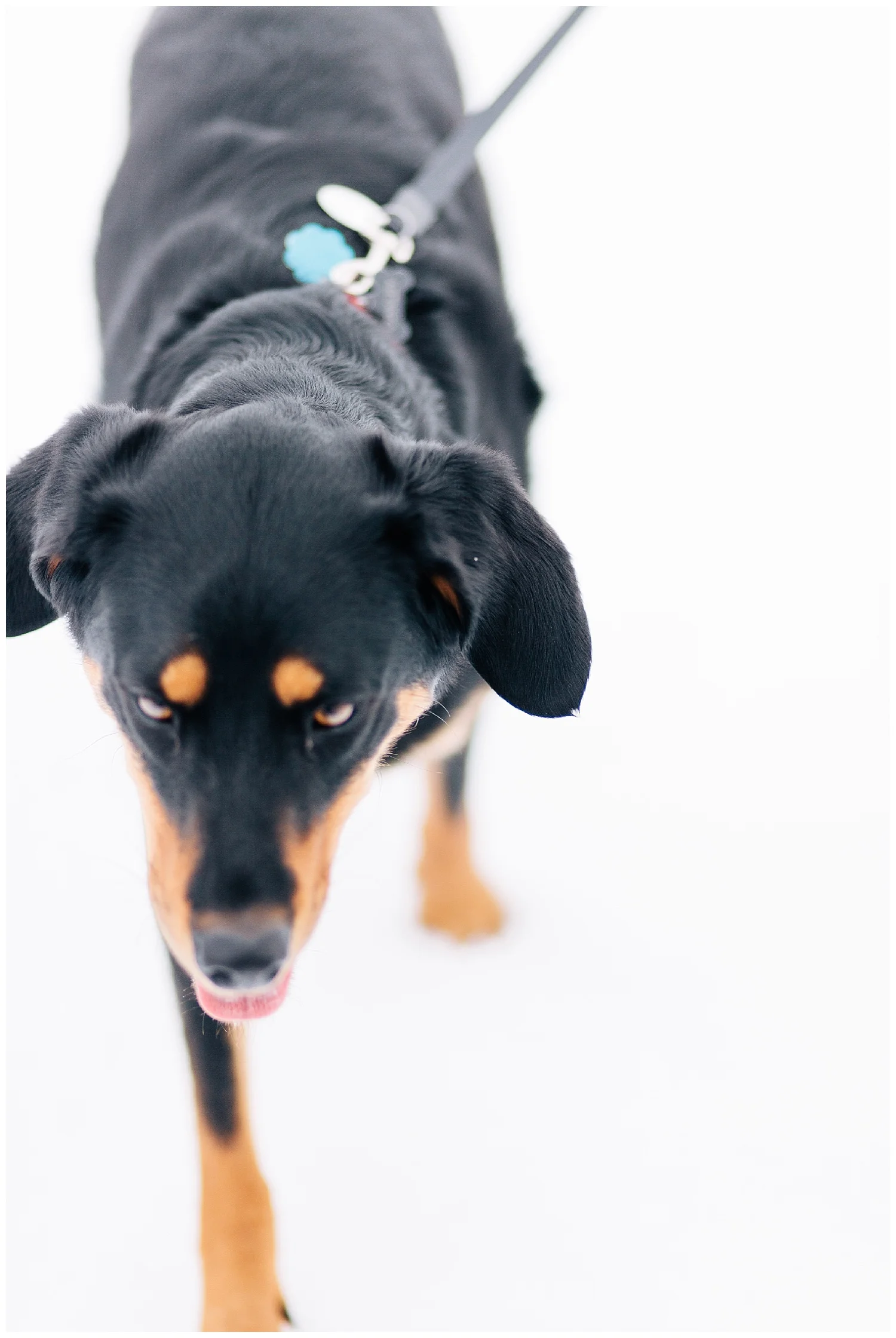 eisleyimages_0027.jpg