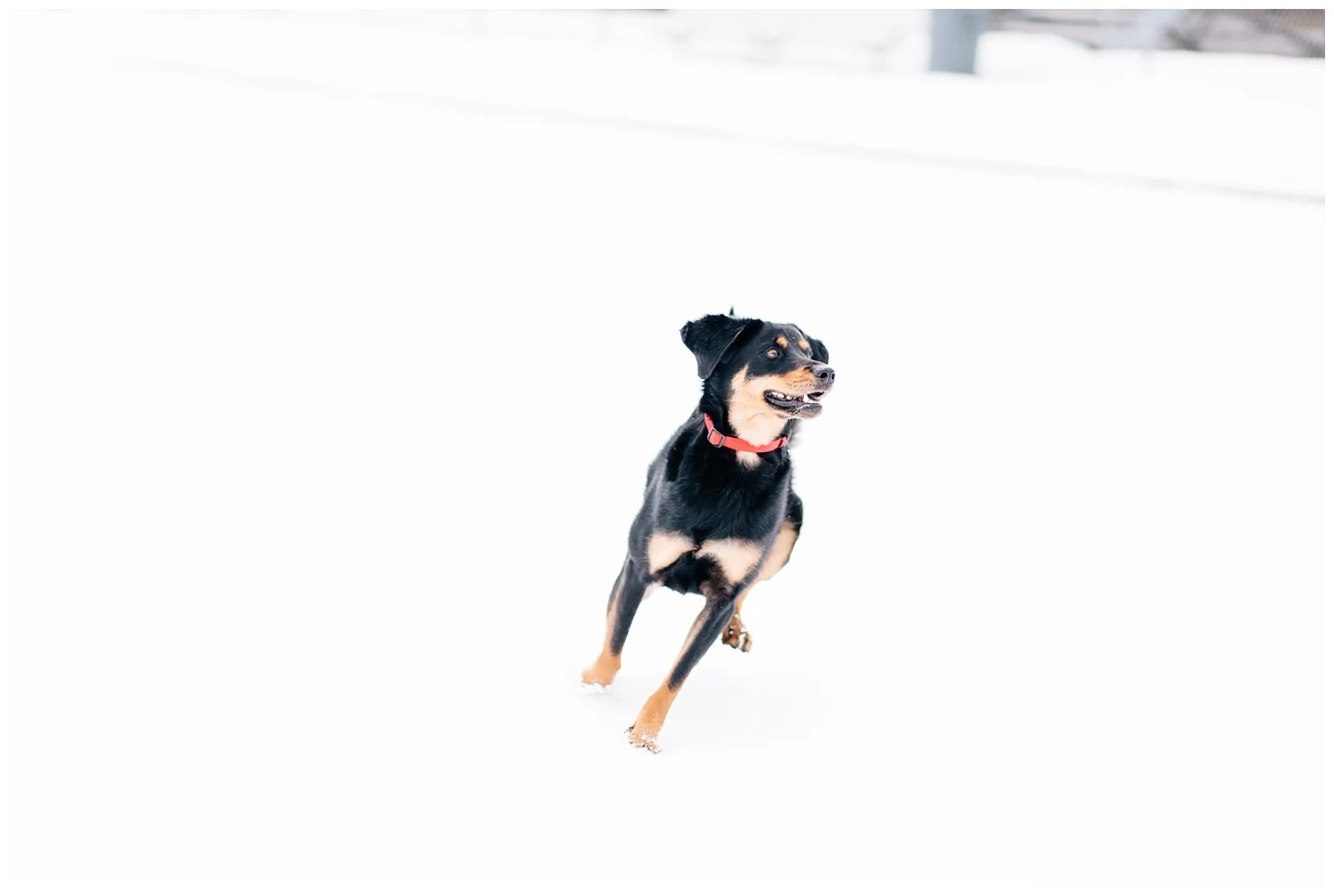 eisleyimages_0040.jpg
