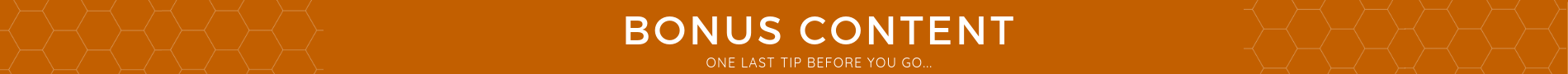 Bonus Content.png