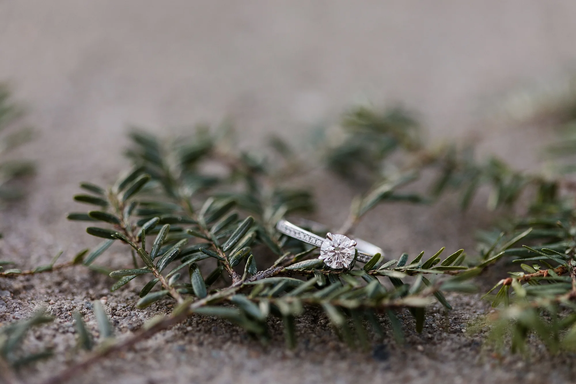 eisleyimages-lincolnwoods-engagement-session_0029.jpg