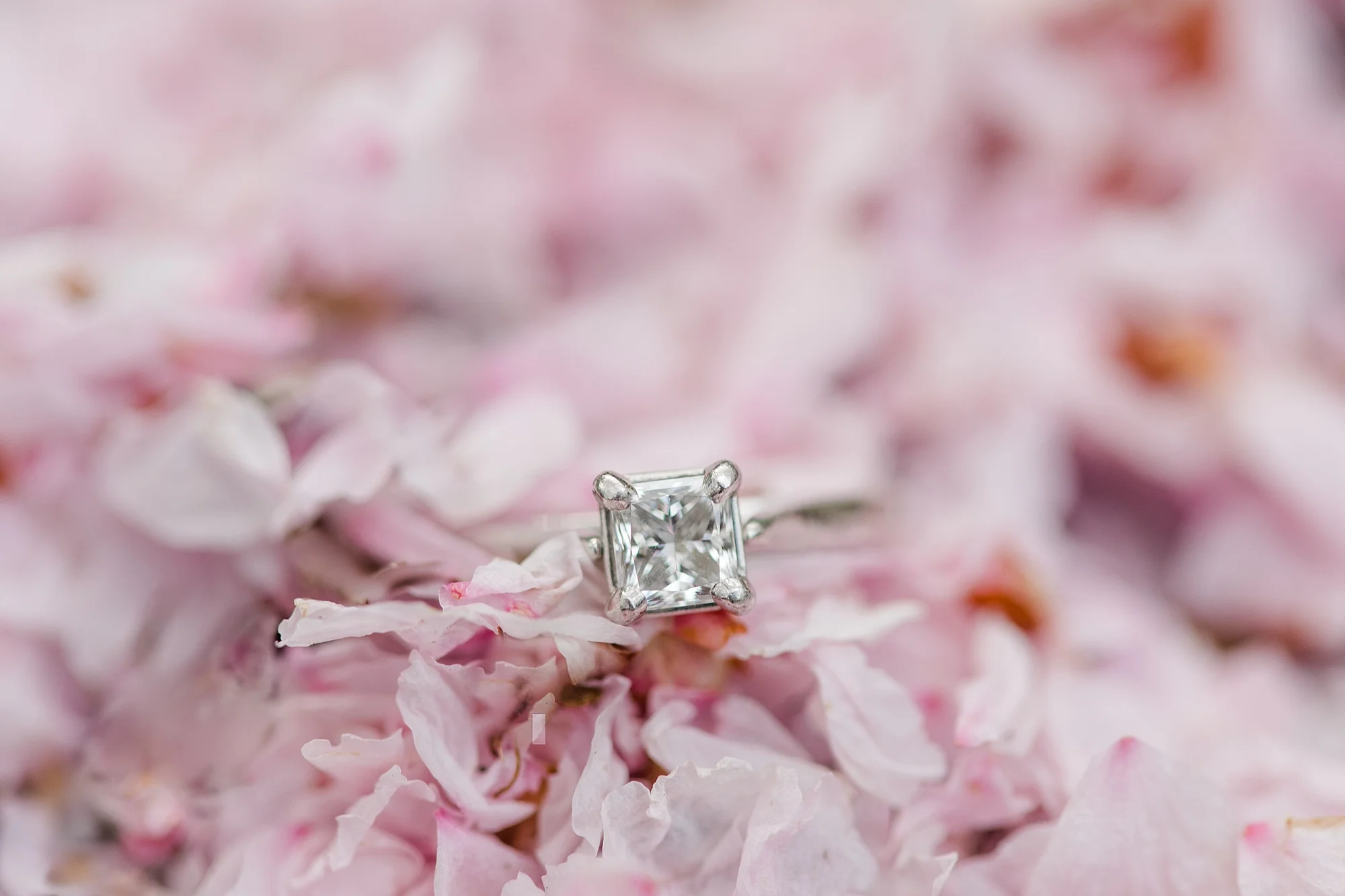 eisleyimages-concordcolonialinn-wedding_0051.jpg