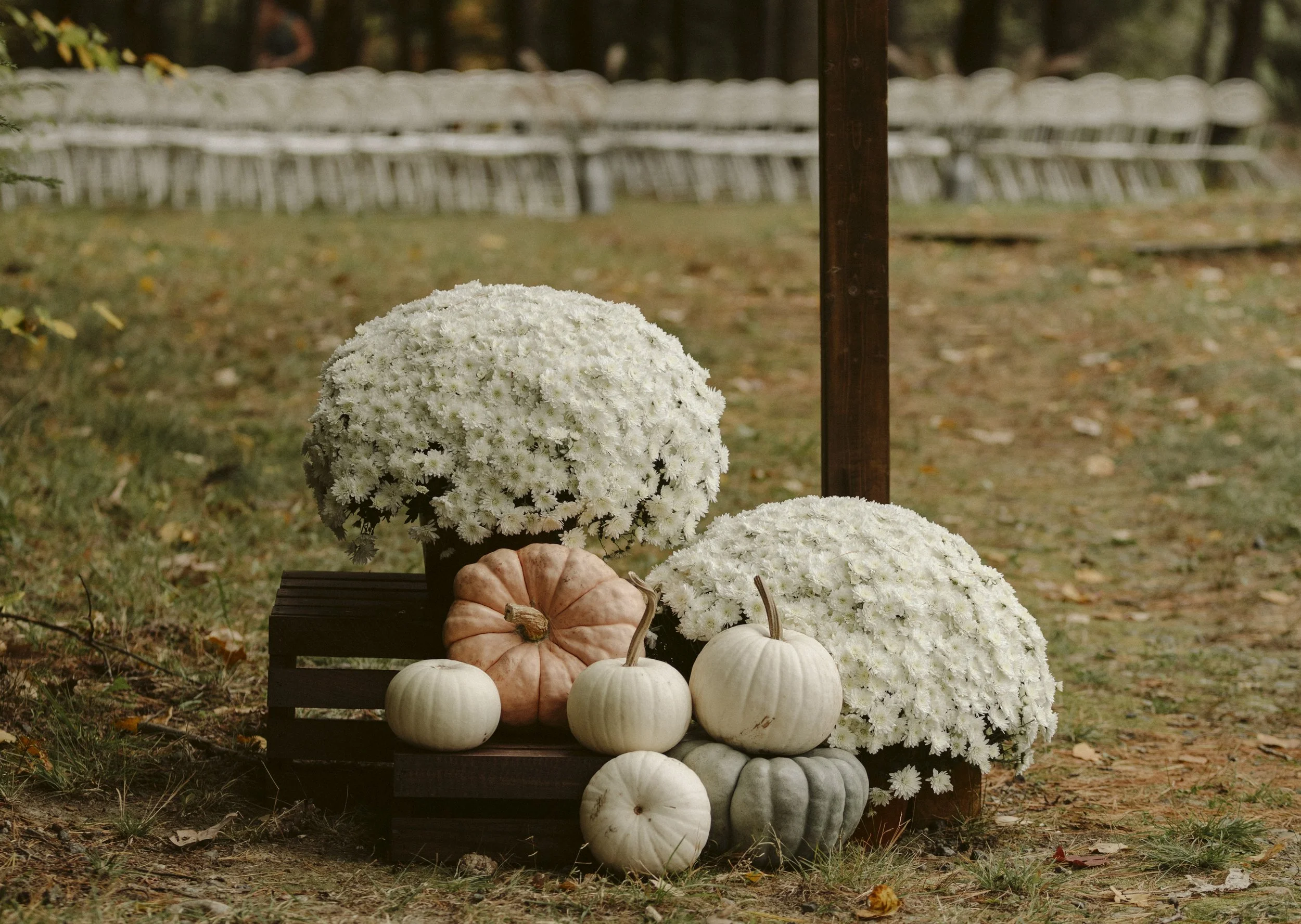 eisley-images-ford-wedding-2025-437.jpg