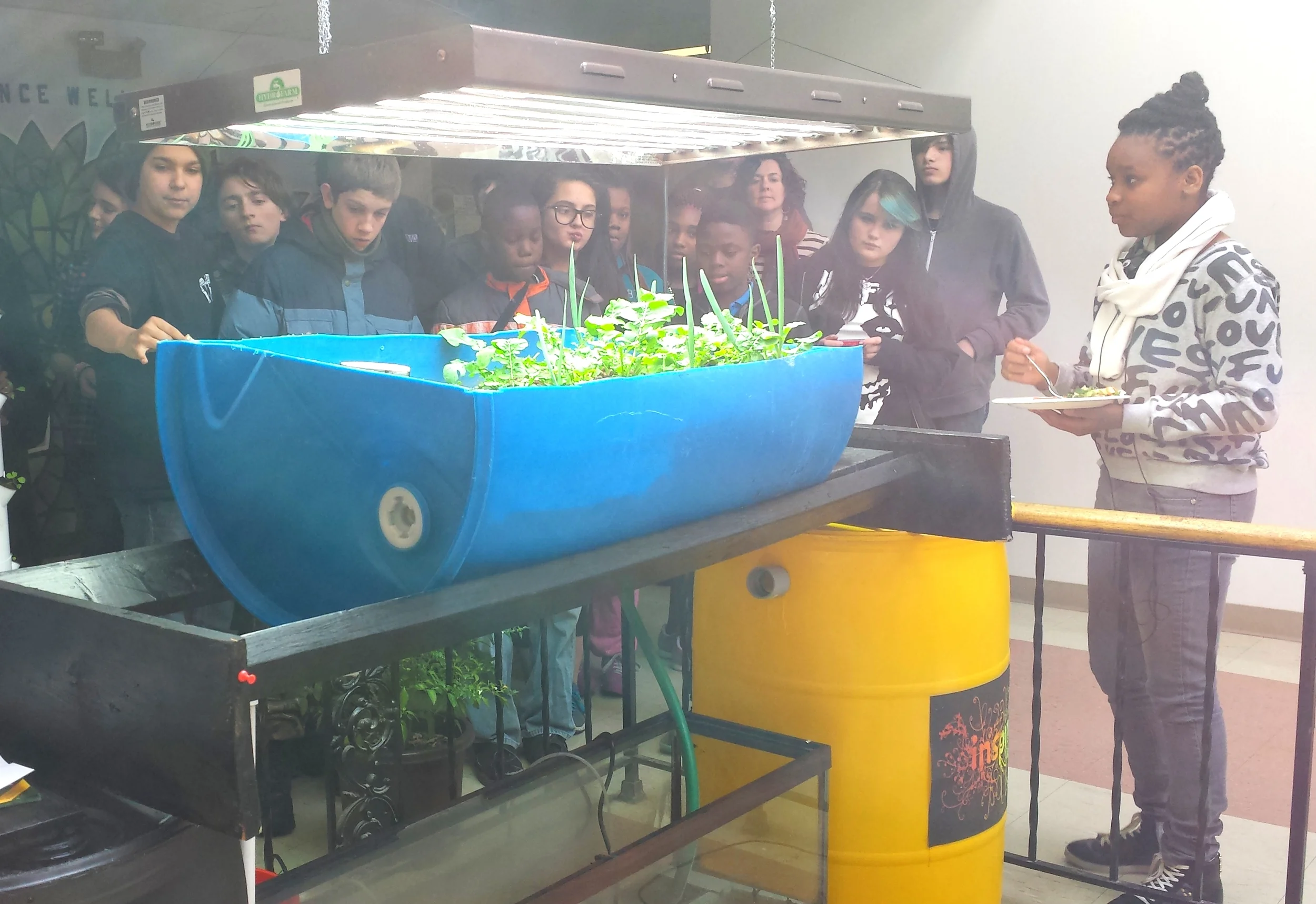 KI Ecocenter's aquaponics system; the students on the left are from KI's neighbor school, Project Libertas.