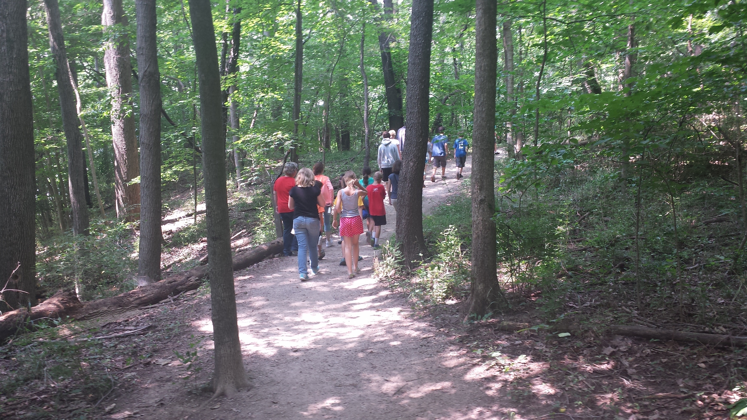 On the first day of Climate Camp, we took a hike through the woods of Eagle Creek, where Peace Learning Center is located.