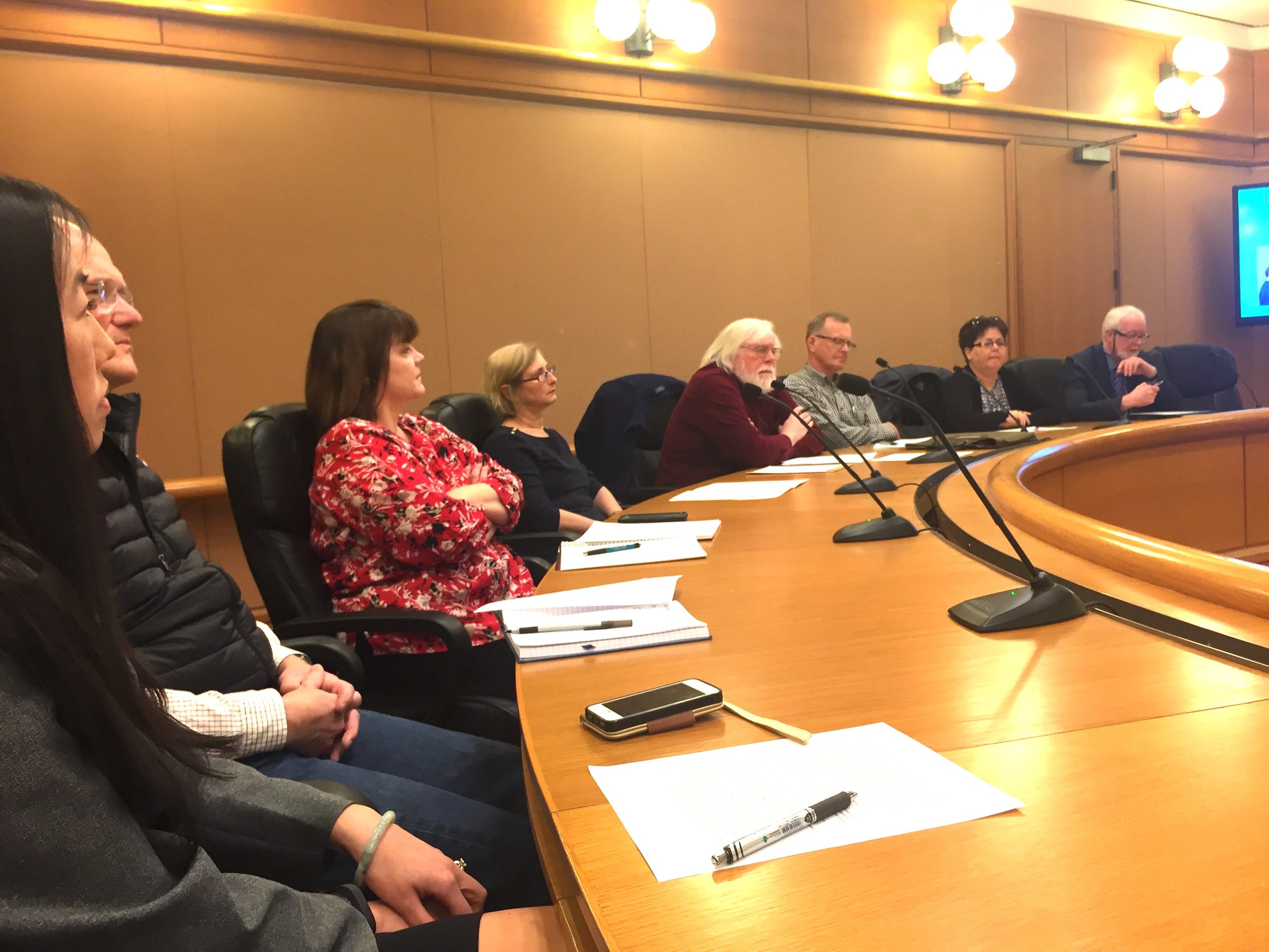 Numerous community volunteers, including two City Councilors, listened and gave feedback.