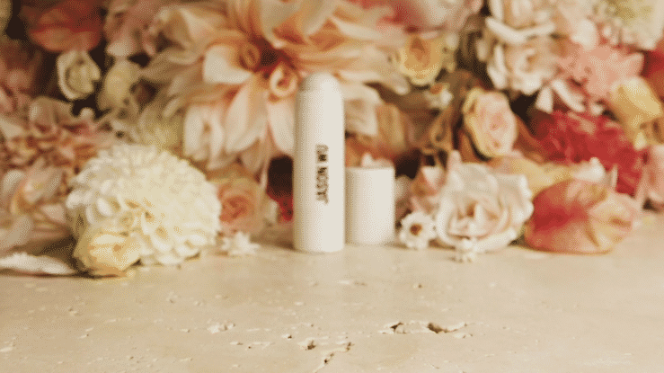 Jason Wu Beauty: Opal Stick