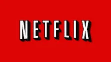 PRIVATE - Netflix Employee Picnic