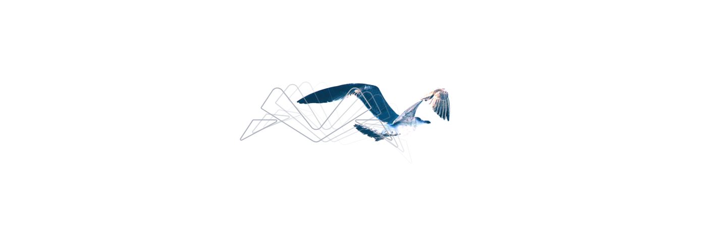 Hawk.png