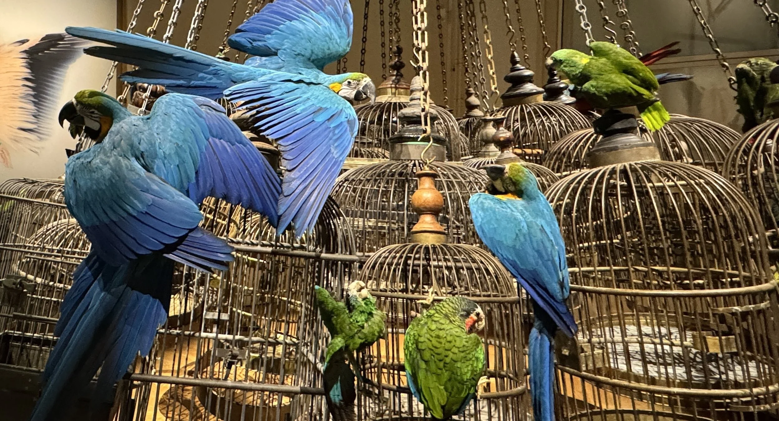 IMG_E8310 - Copy.JPG