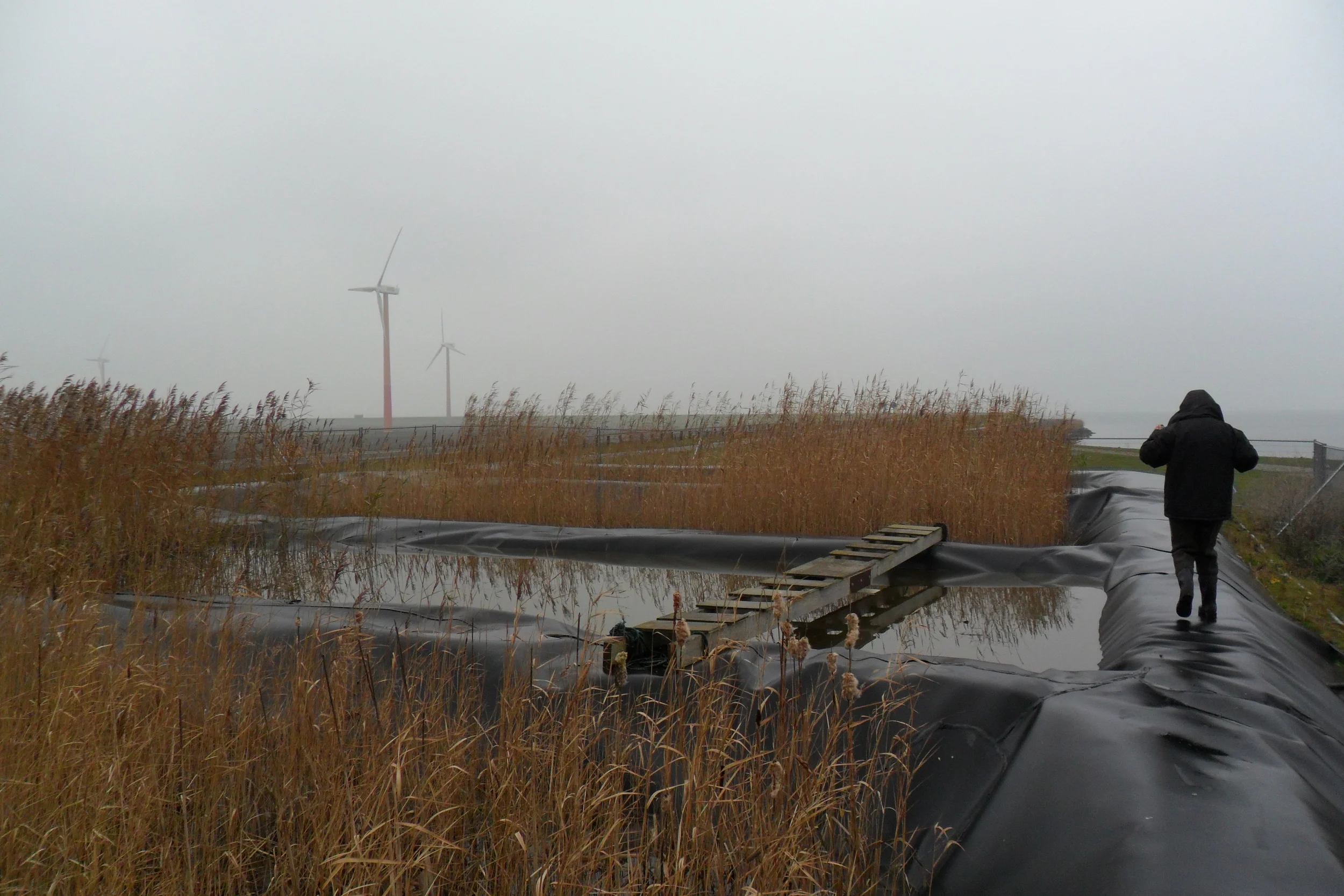 View of tPampushaven basins (Picture taken during fieldwork on 02/12/2014)