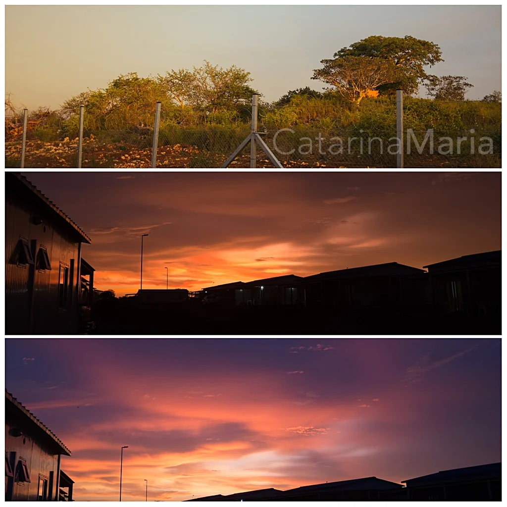 sunset.jpg