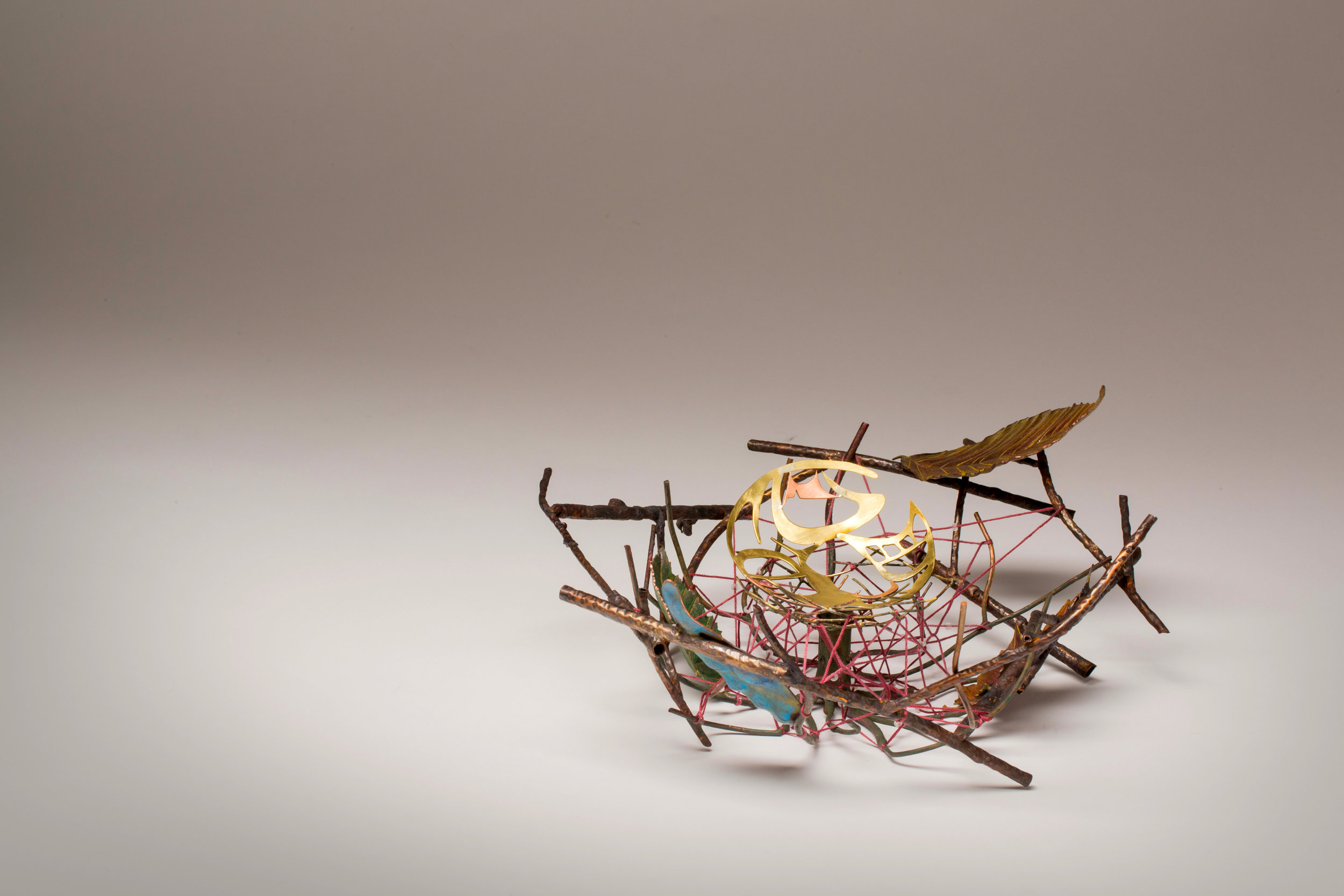 Nest in Vancouver (2016)