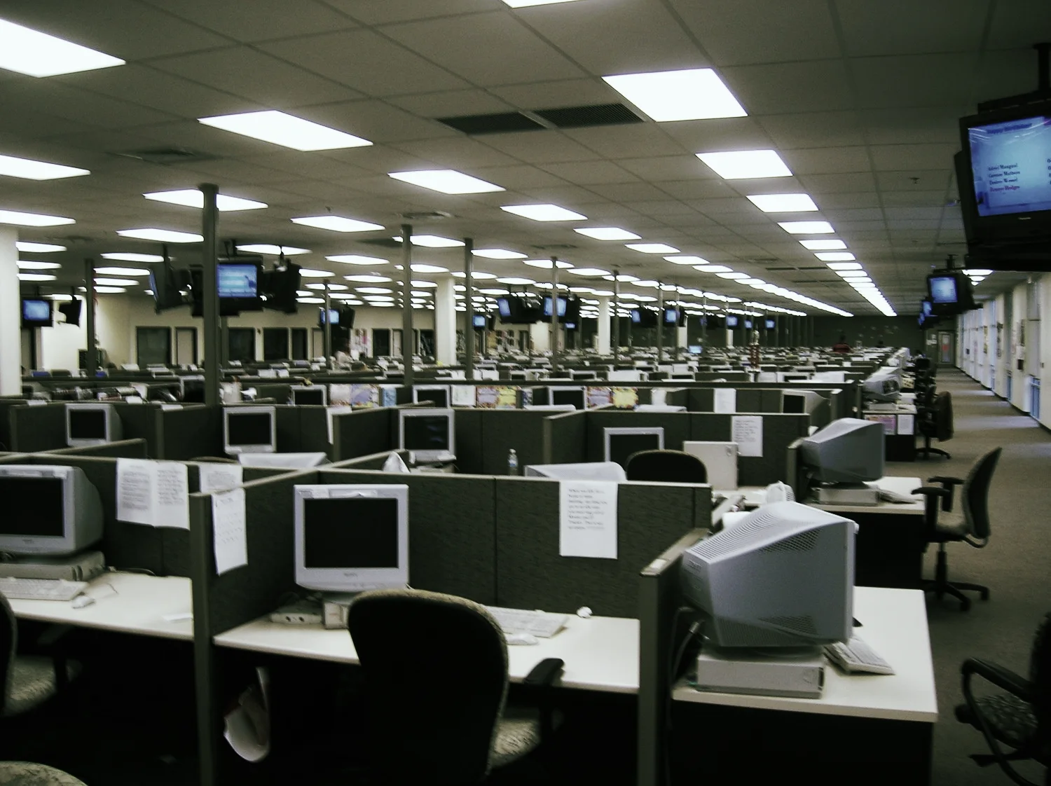 8 LESSONS LEARNT SINCE LEAVING CUBICLE NATION