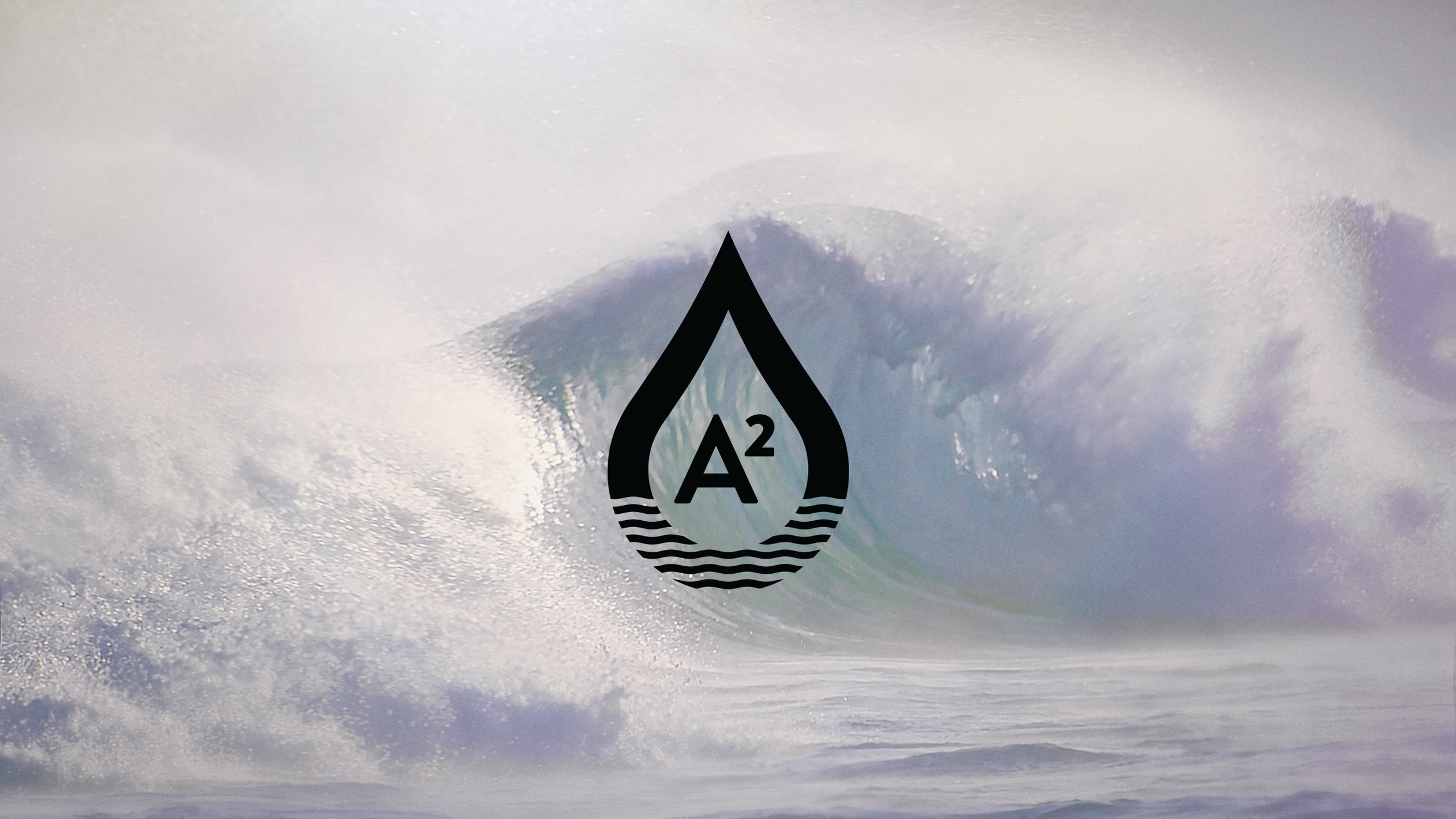 a2 + logo.jpg