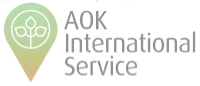 Aok International Service Kulturspace