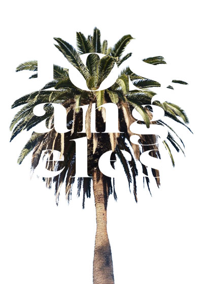 7OjS_Palm-Tree.jpg