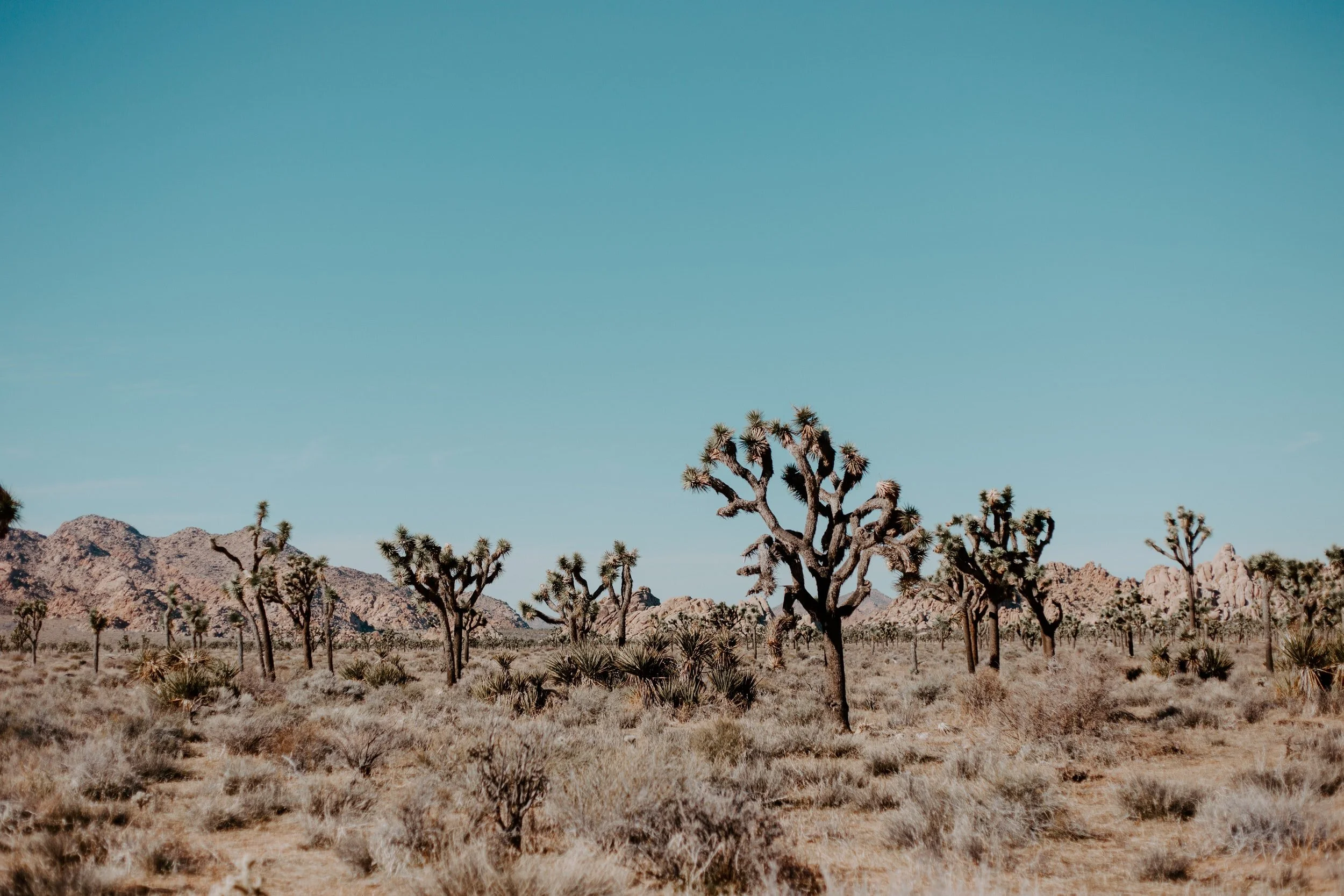 unsplash-image-4F8412P2GYc.jpg