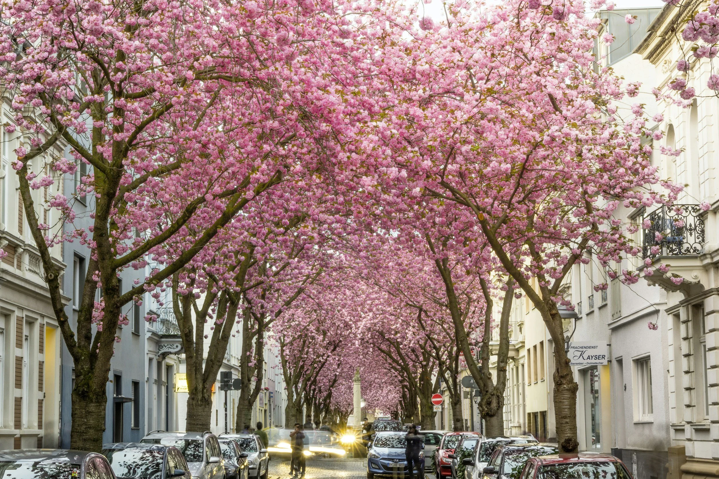 unsplash-image-ae4VmMbhanQ.jpg
