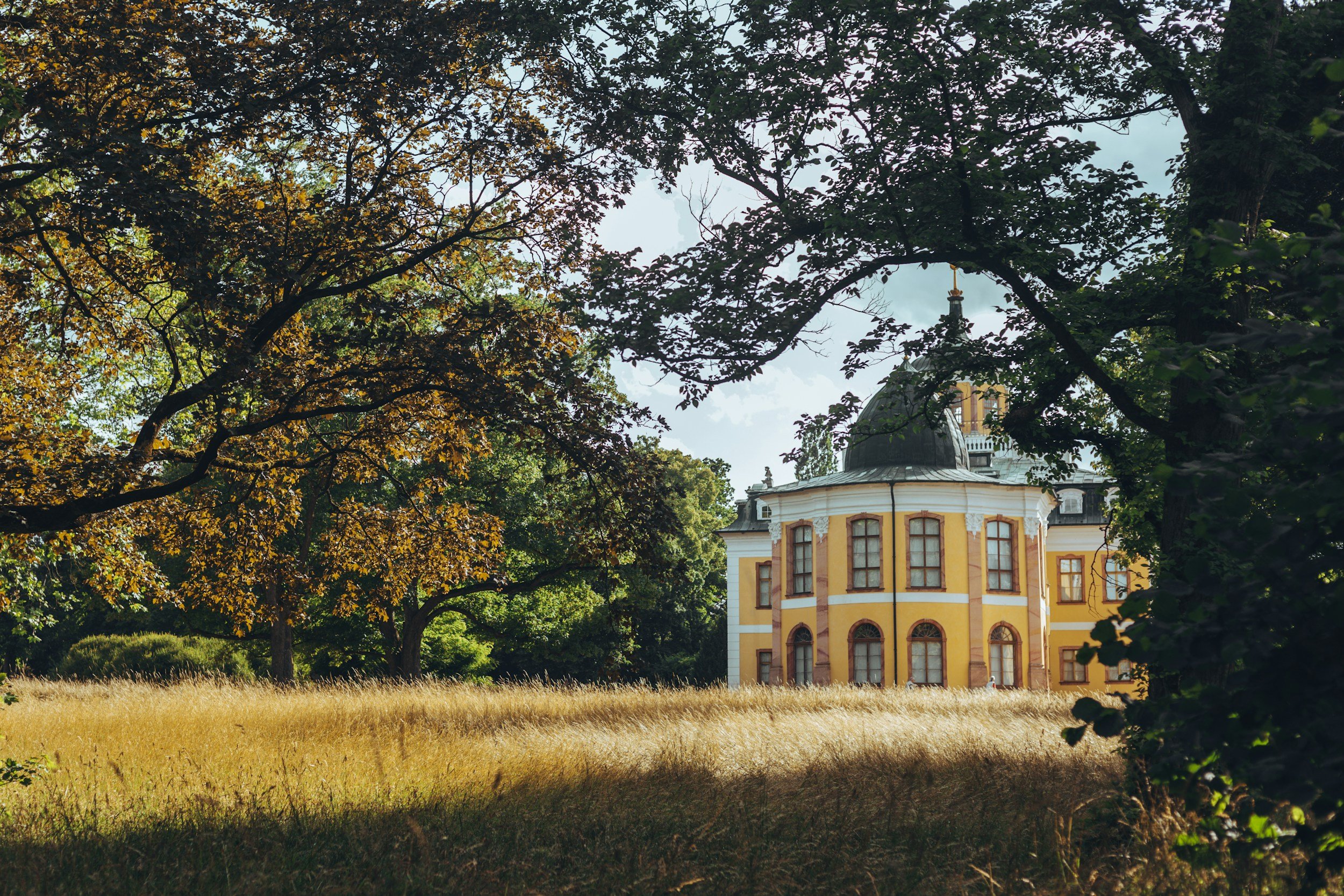 unsplash-image-gSmACgkkQuY.jpg