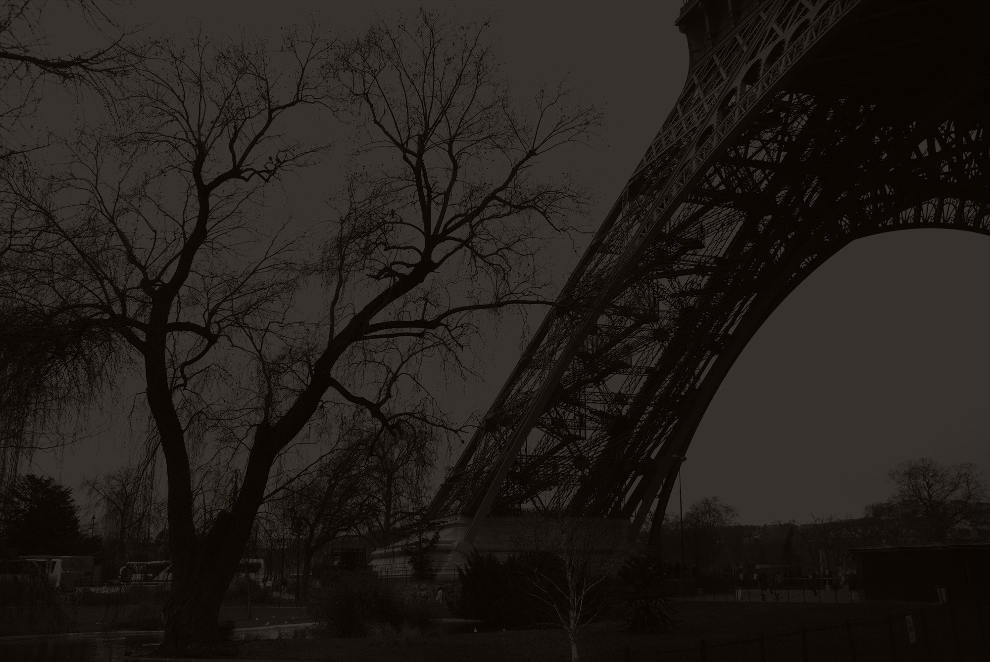 Paris-West BannerBG.jpg