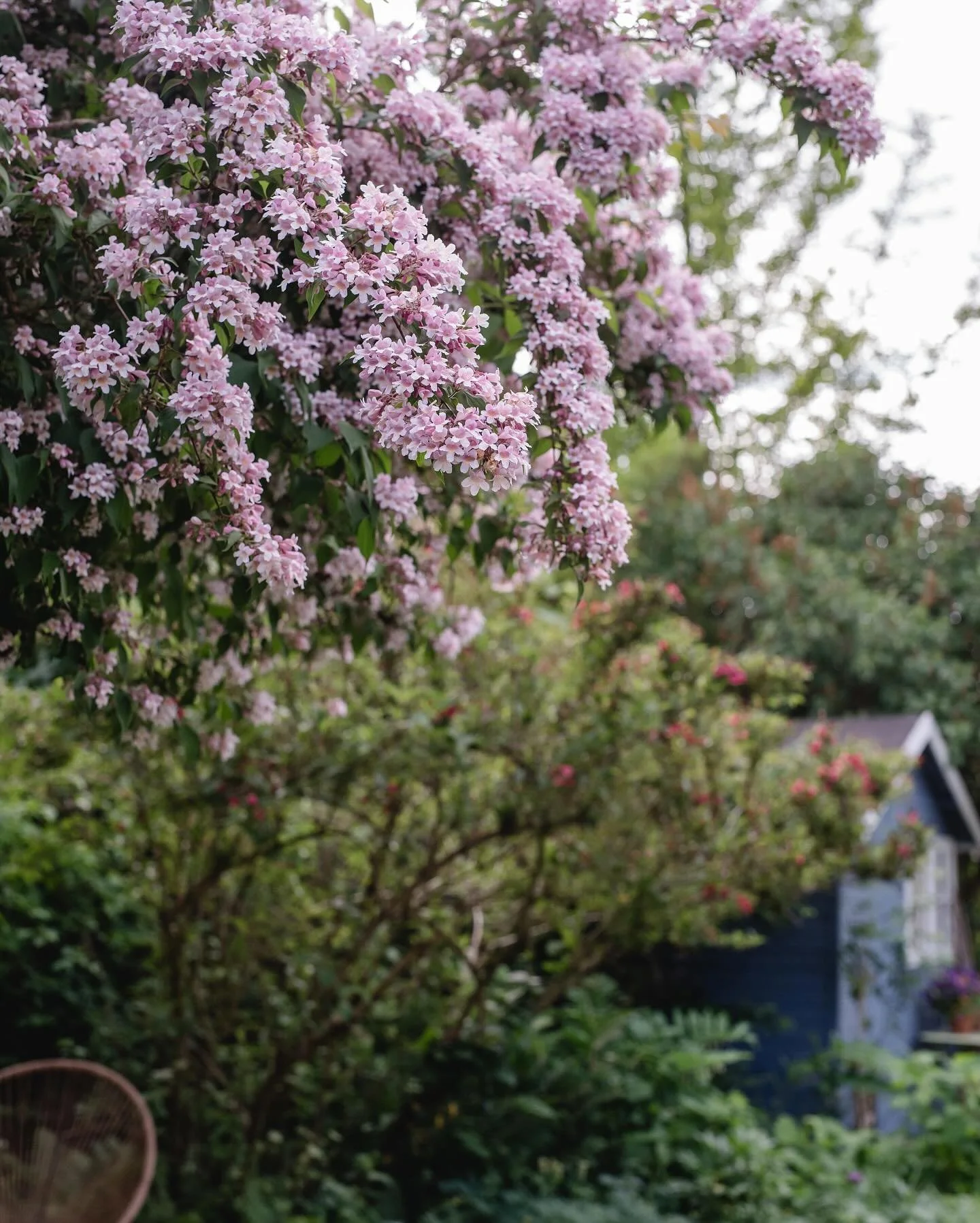 Vor einiger Zeit habe ich mich mit meiner Tochter, die sich gerade f&uuml;r ein Fotodesign-Studium bewirbt (proud mama here) lange &uuml;ber Fotografie und Fotografieren unterhalten. Und danach dachte ich mir: was f&uuml;r ein Privileg das doch ist, 