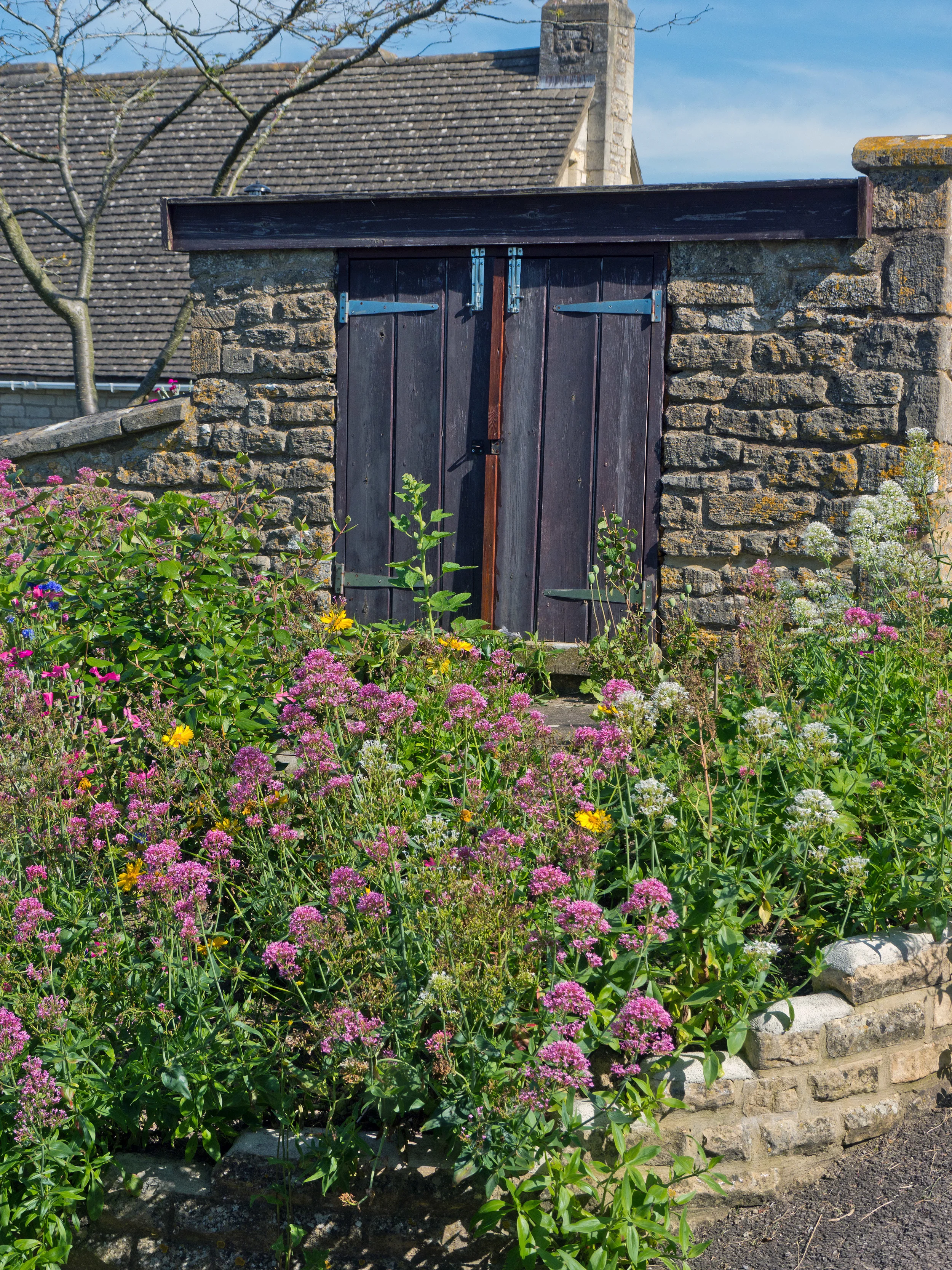 P1030477-1.jpg