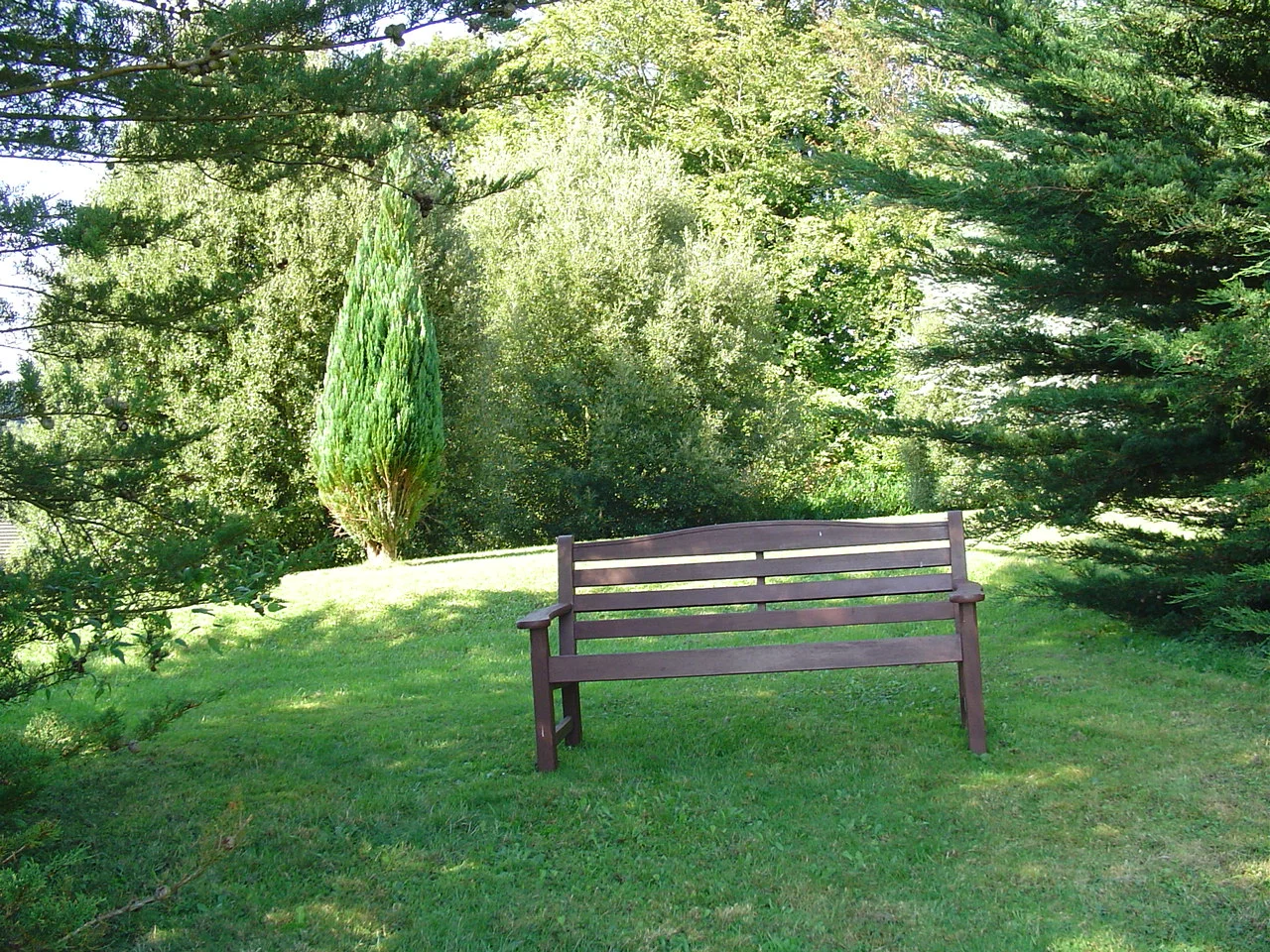 gardenbench.jpg