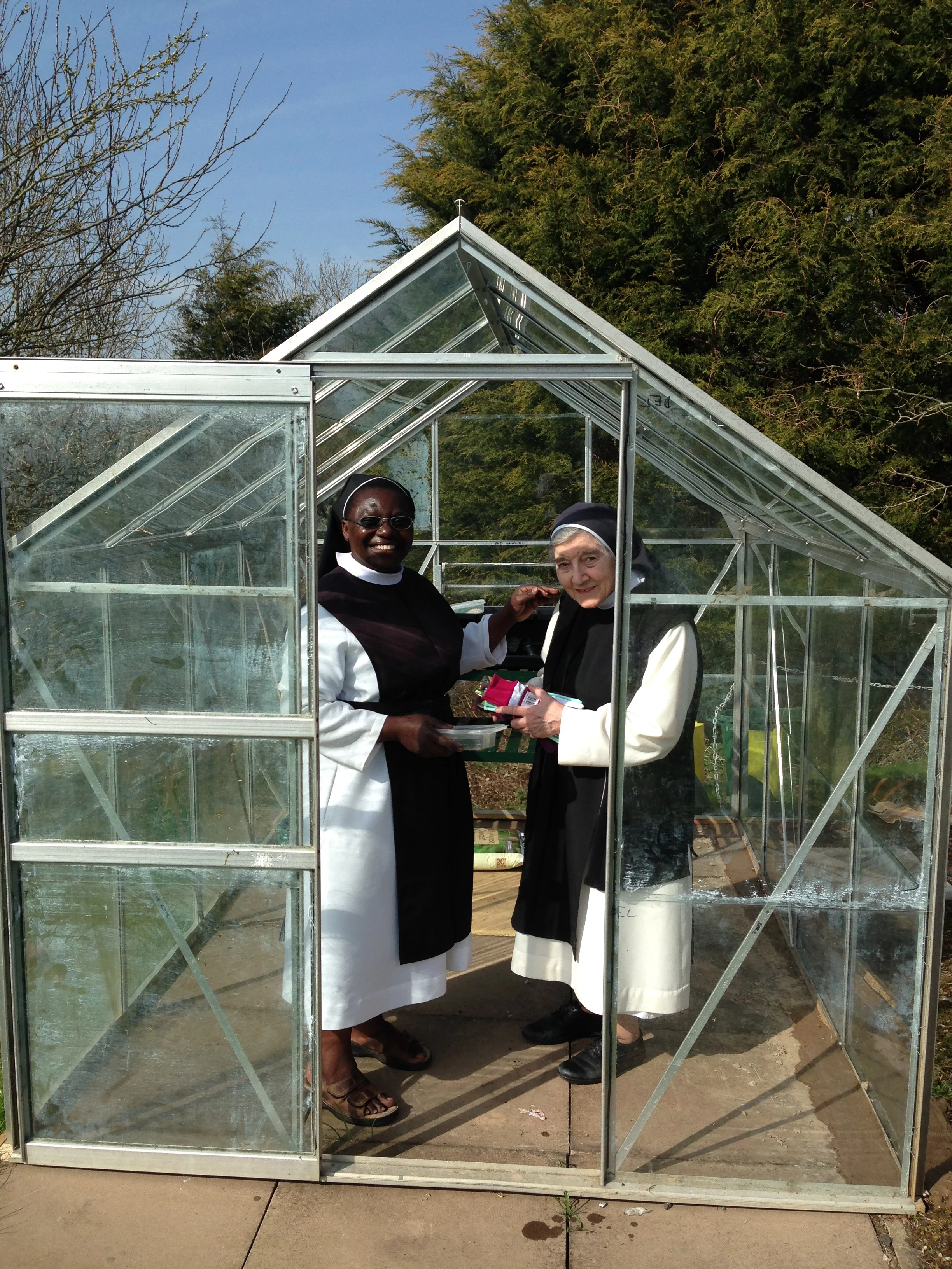 newgreenhouse.jpg