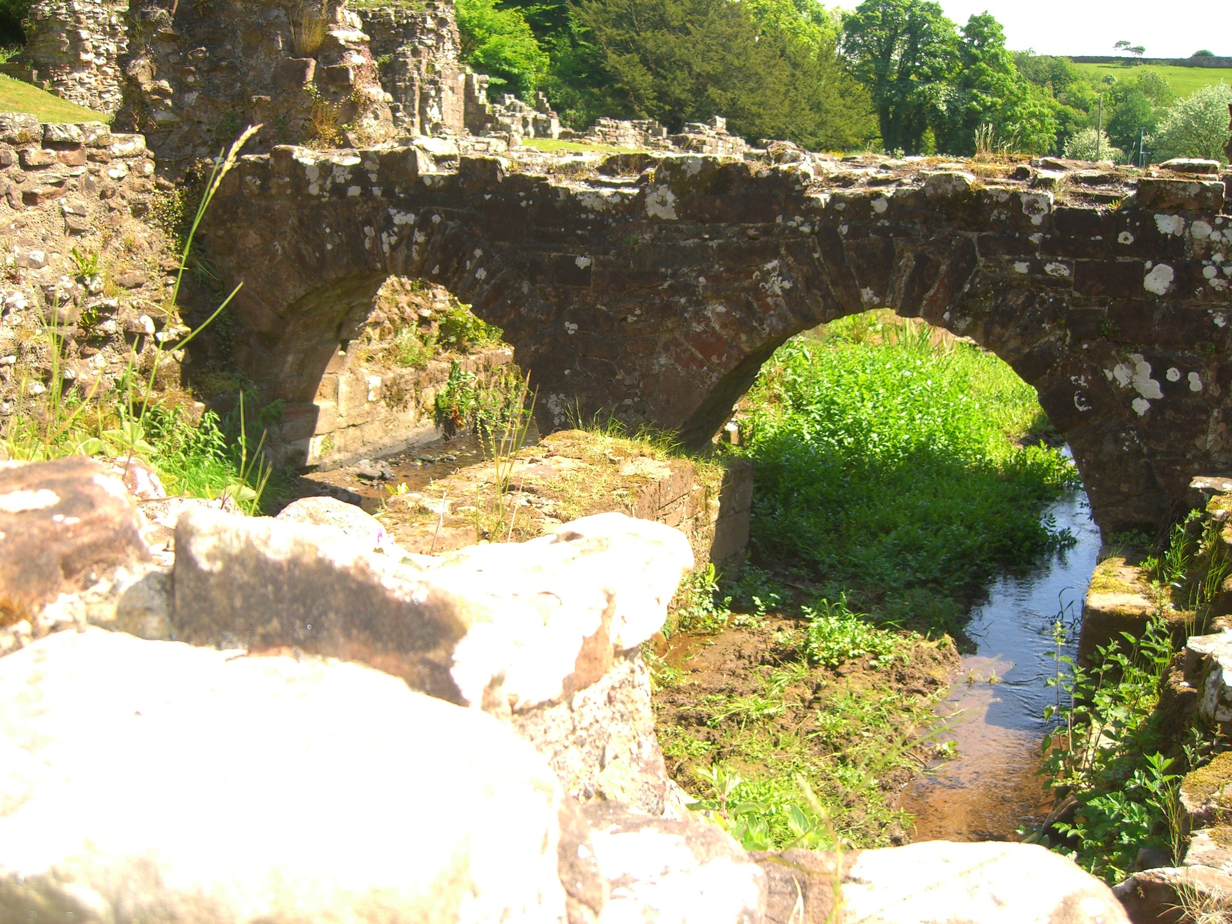 FurnessAbbey (31).JPG