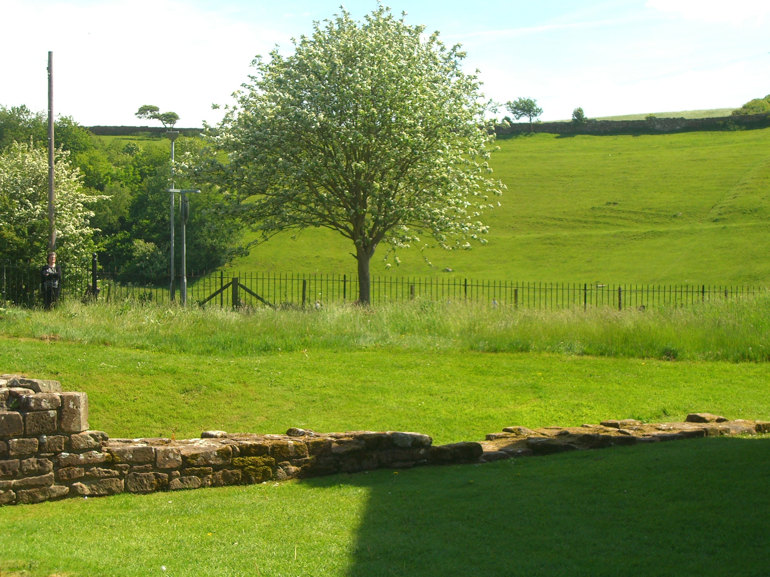 FurnessAbbey (60).JPG