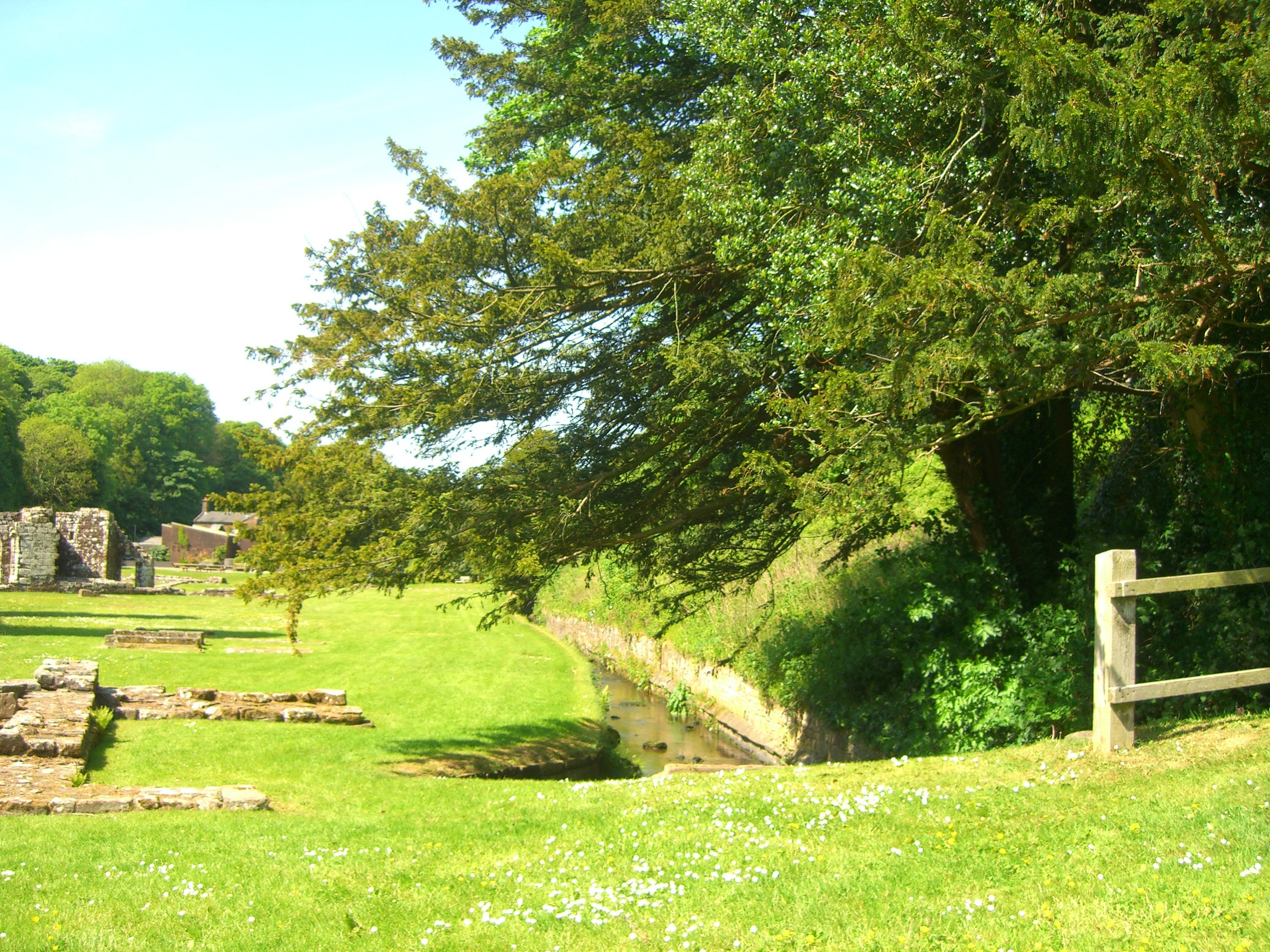 FurnessAbbey (66).JPG