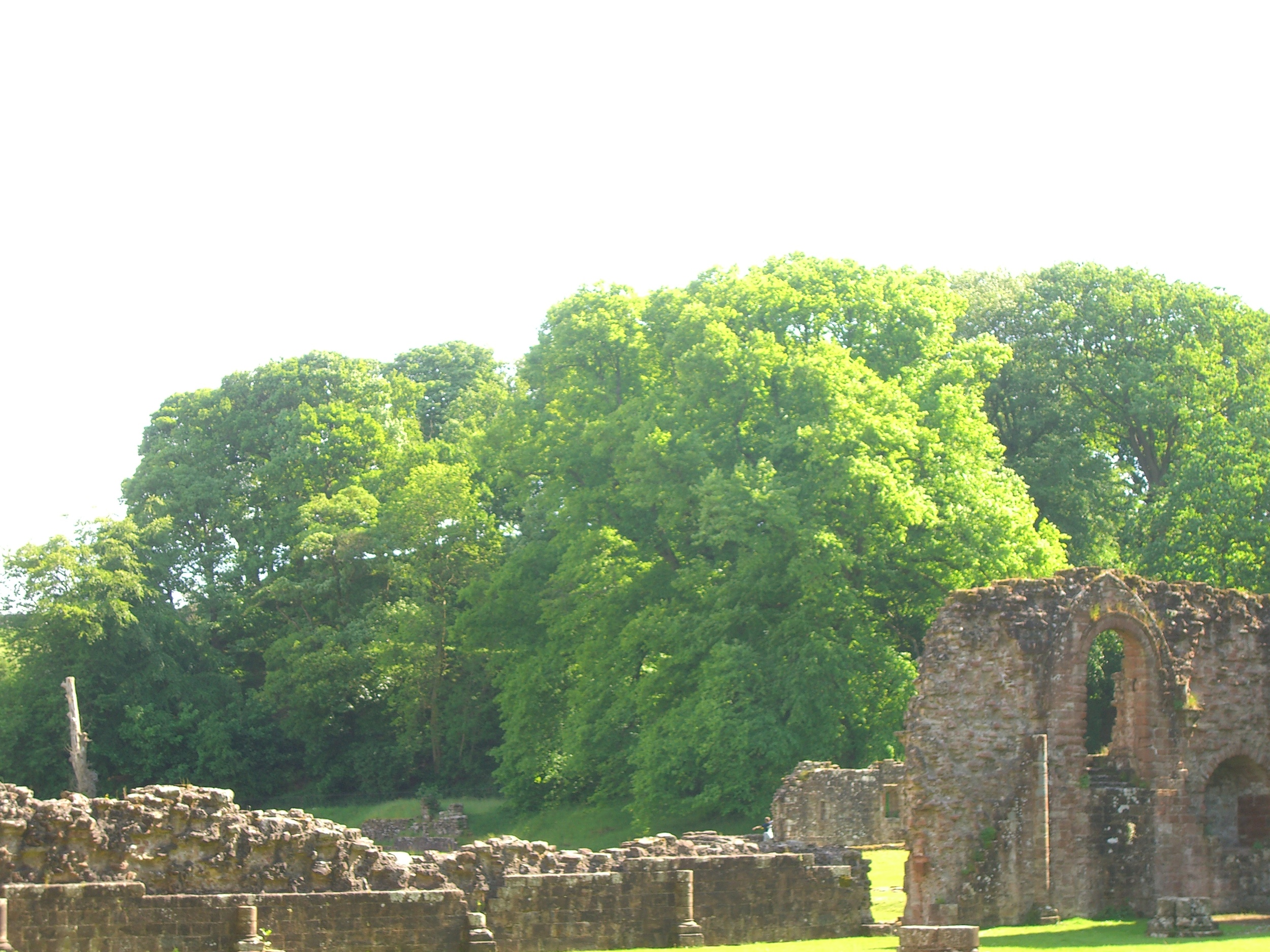 FurnessAbbey (79).JPG