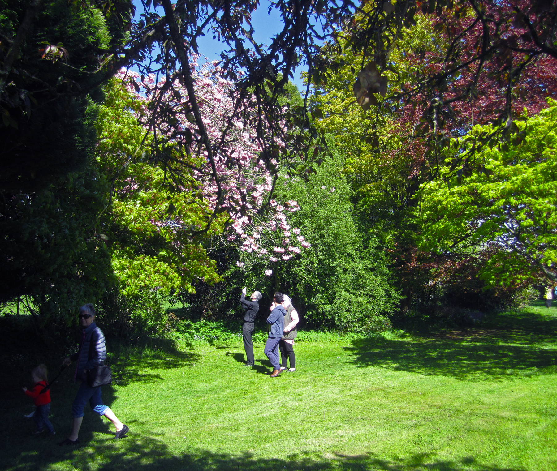 Garden3.jpg
