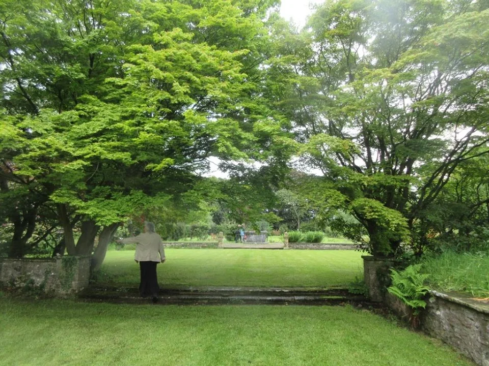 open29.jpg
