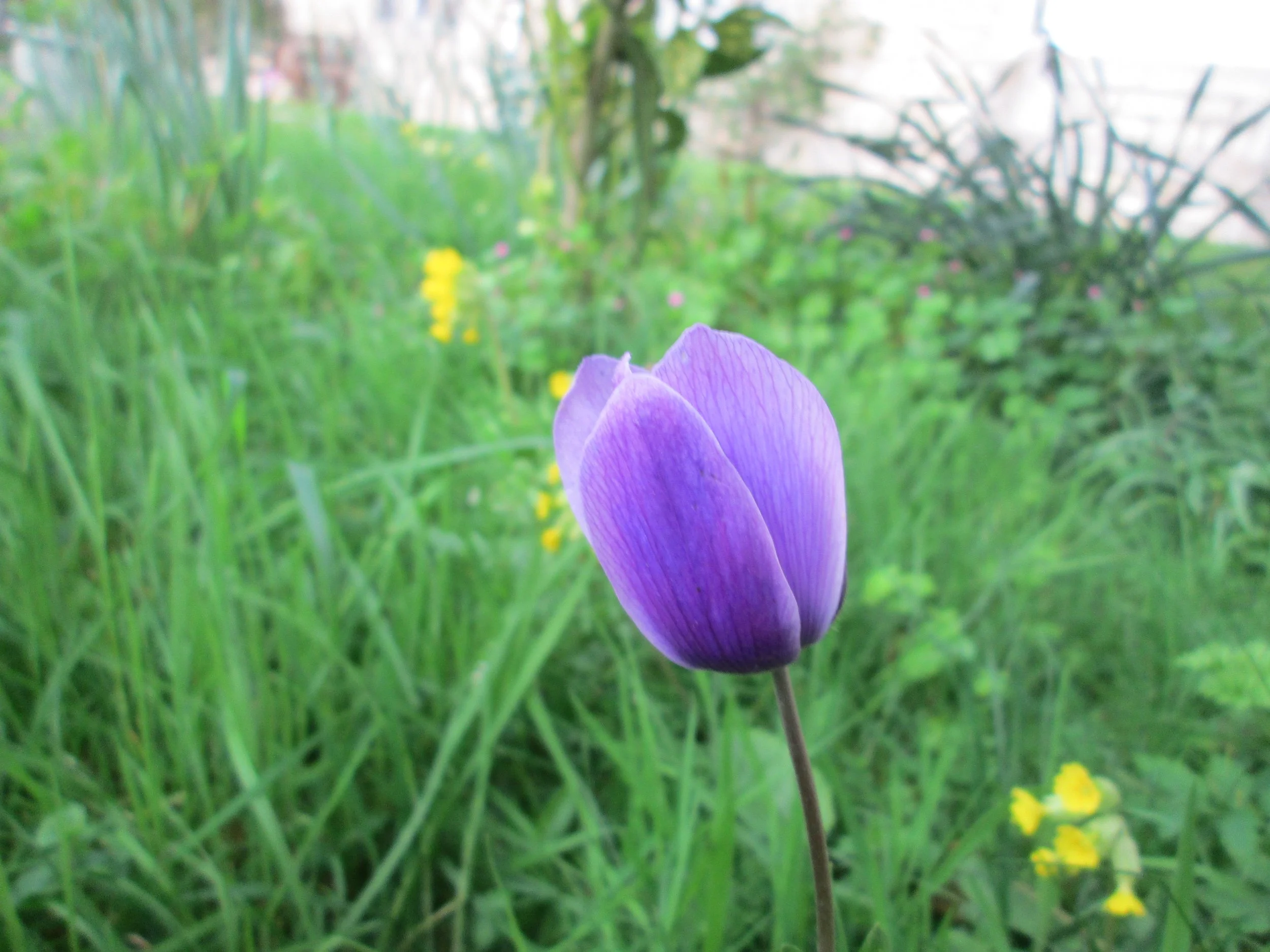 Quiet Day - Wednesday, 22nd April 2026