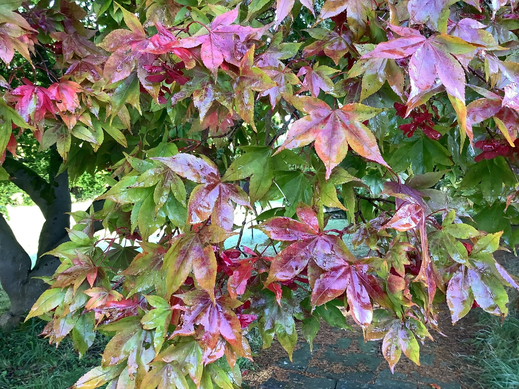 Quiet Day - Thursday, 16th October 2025