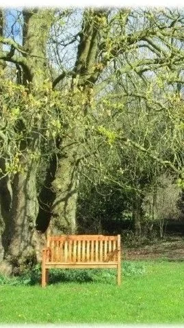 Quiet Day - Friday, 25th July 2026