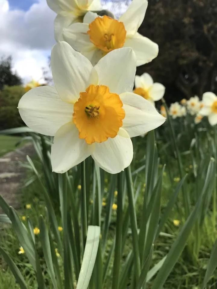 Quiet Day - Wednesday, 21st April 2027