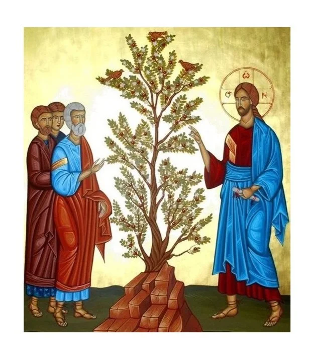 Exploring the Parables