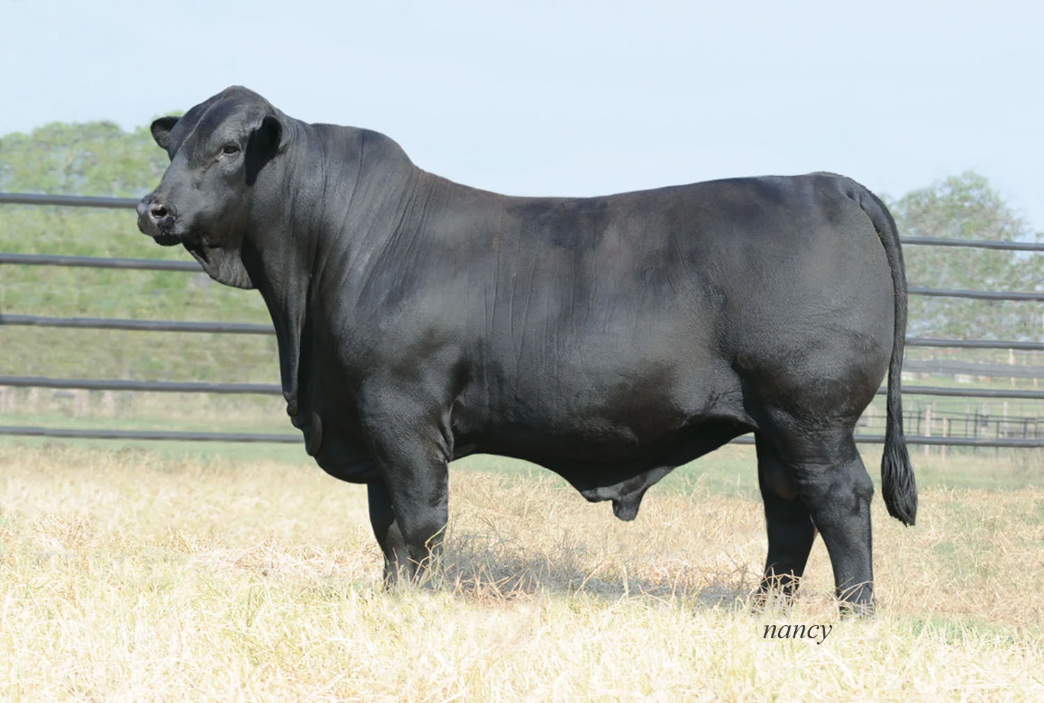Cavender 9-24-12_DMR_541Y7.jpg