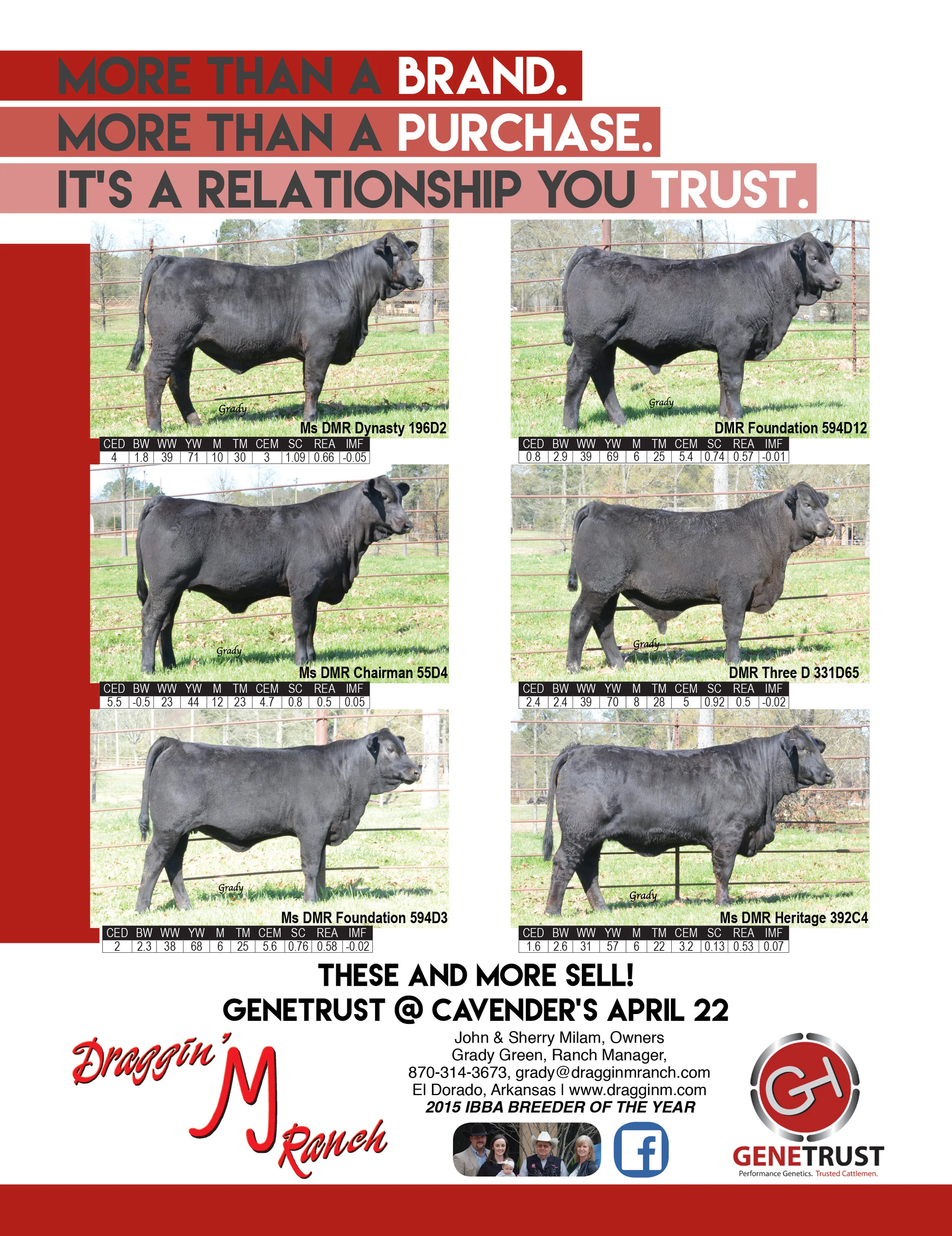 The M Blog — Draggin' M Ranch