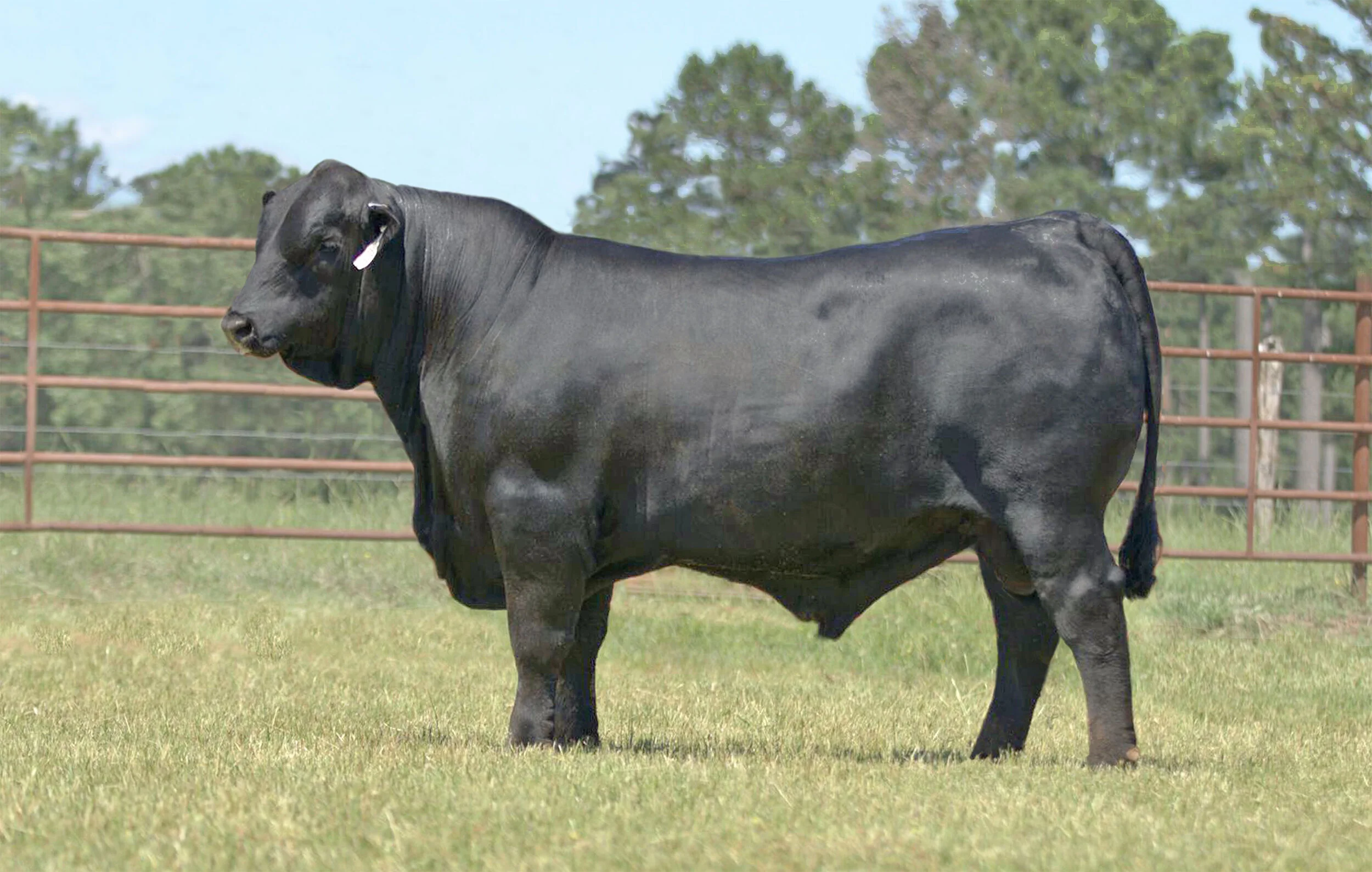 DMR Cash Flow 535F30