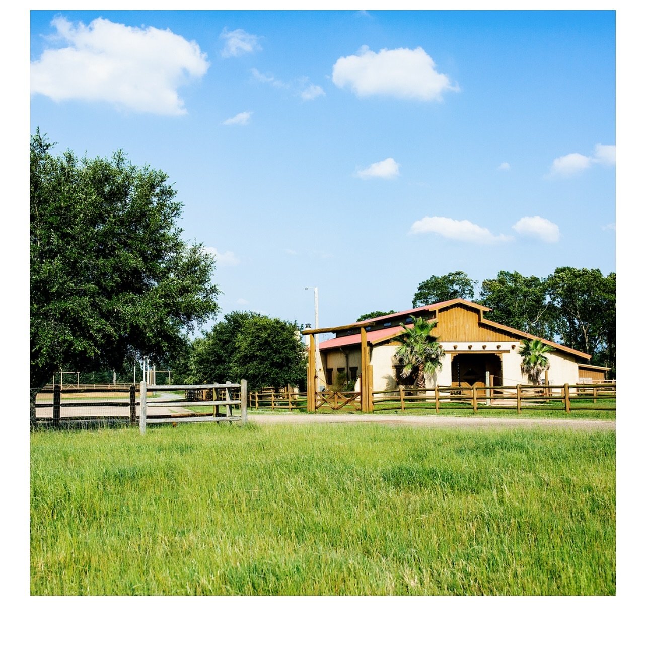 The Barn

A functioning working horse barn, provides a rustic setting for any event. Tack Room, Feed Room, Living Quarters and open area large enough for a seated 150-person dinner. Includes a one-bedroom living quarters in the main Barn. Complete wi